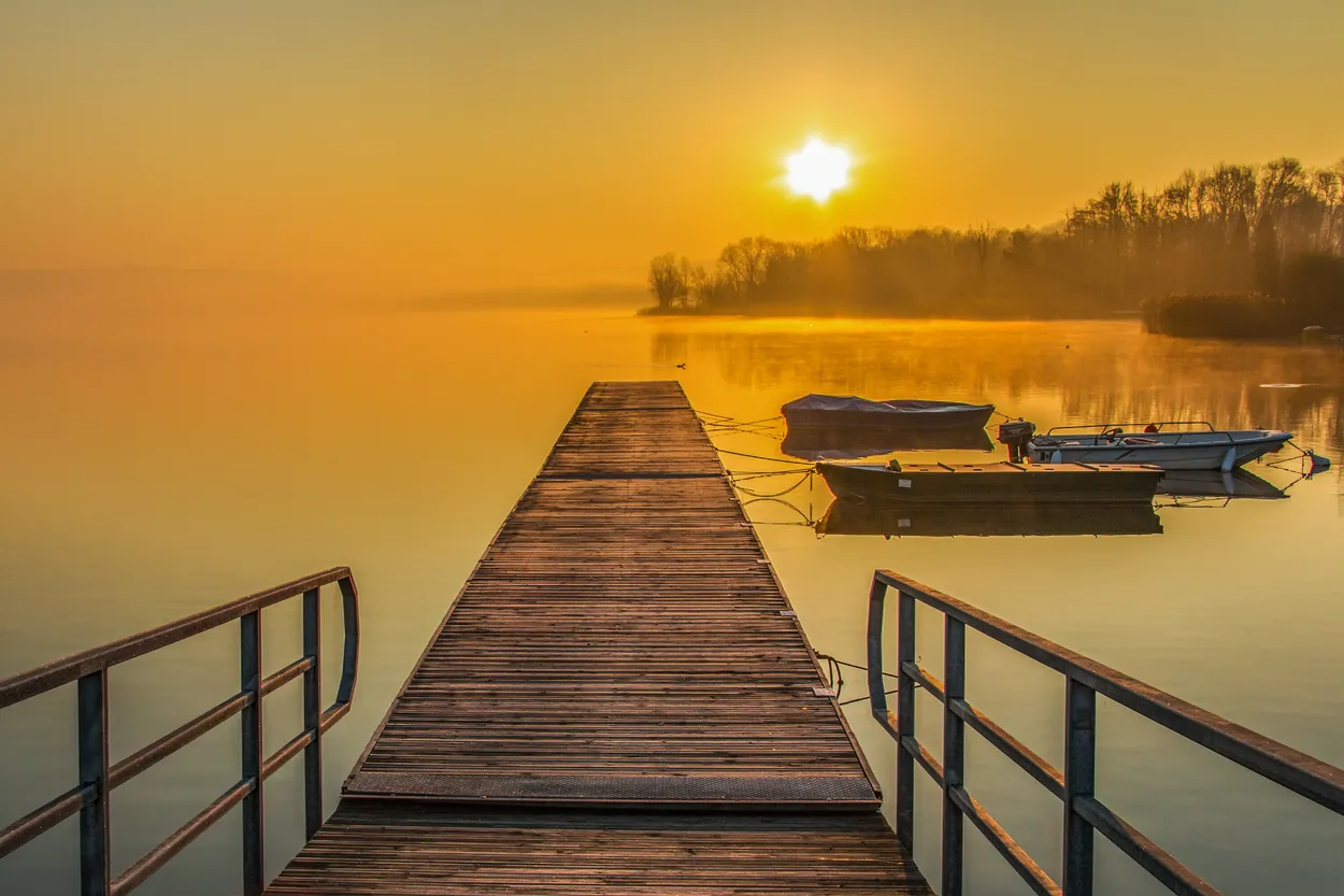Entry 12846488