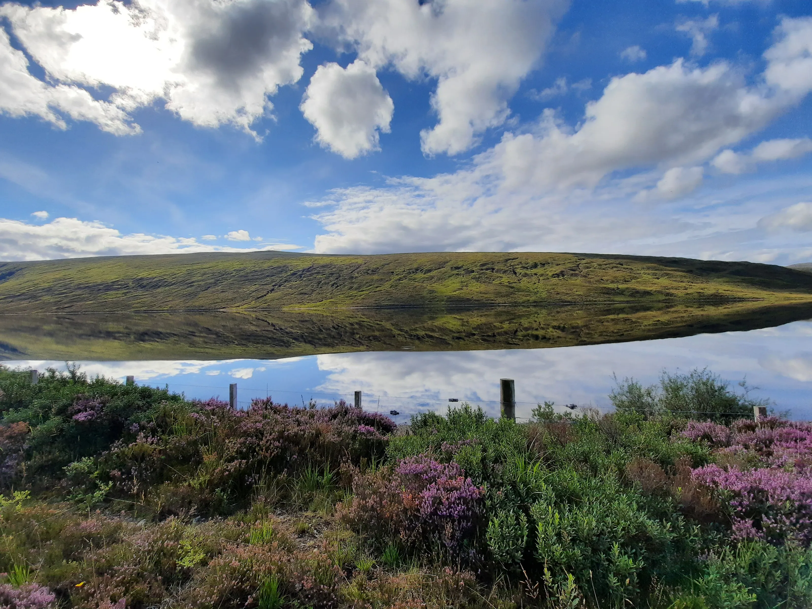 Clear reflection