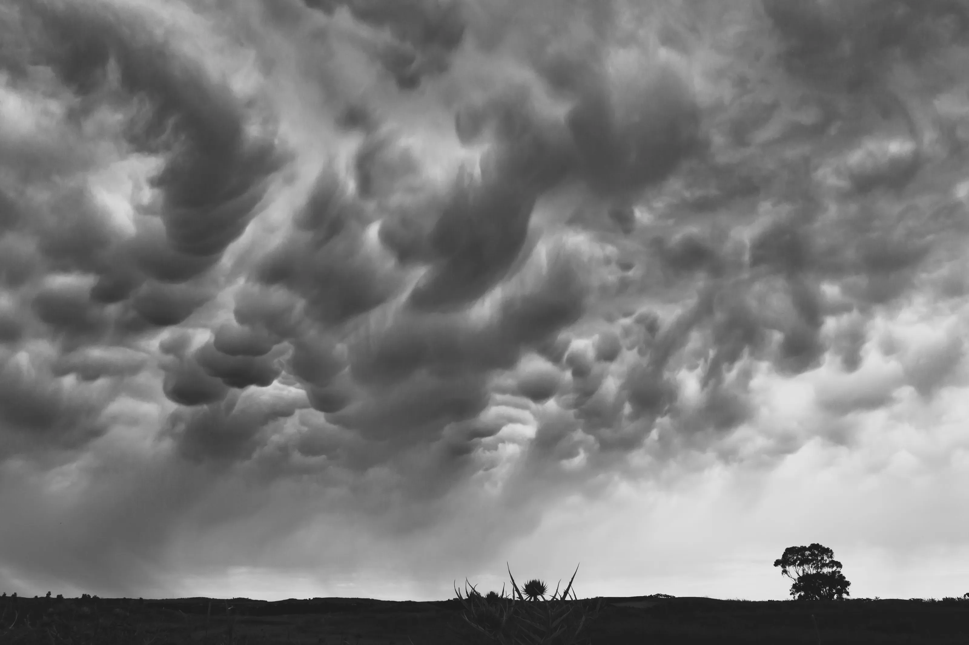 Clouds