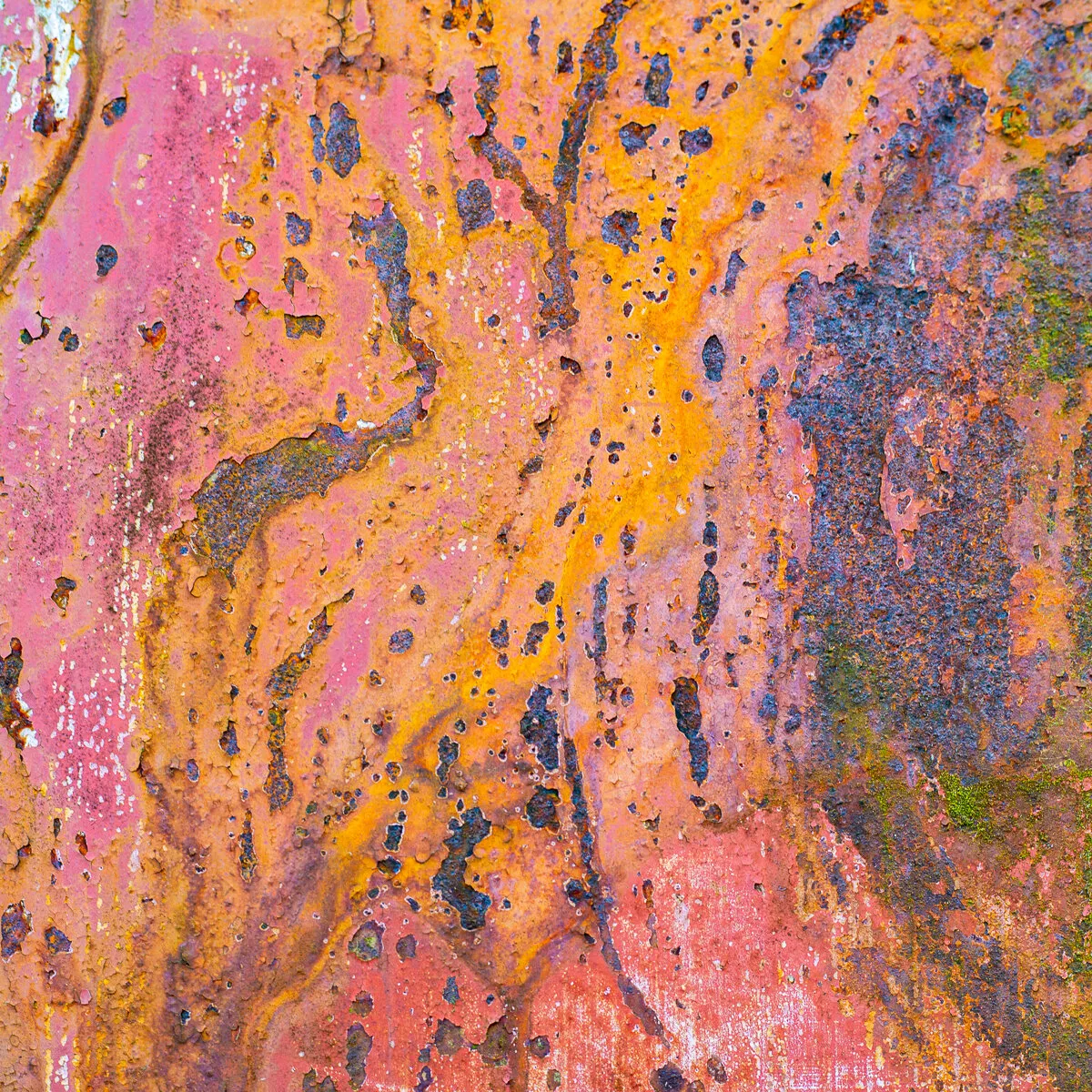 Rusting beauty
