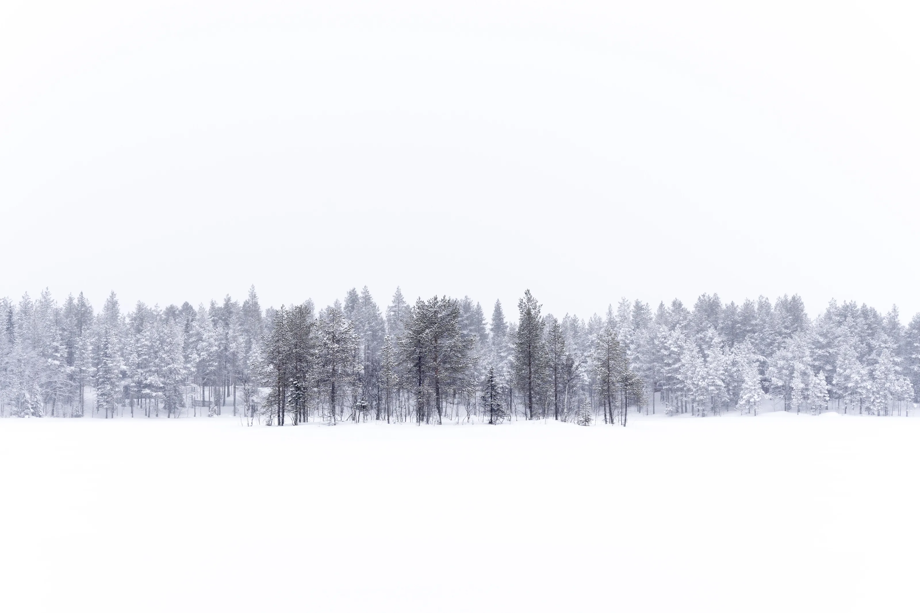 Winter in Lapland 2022