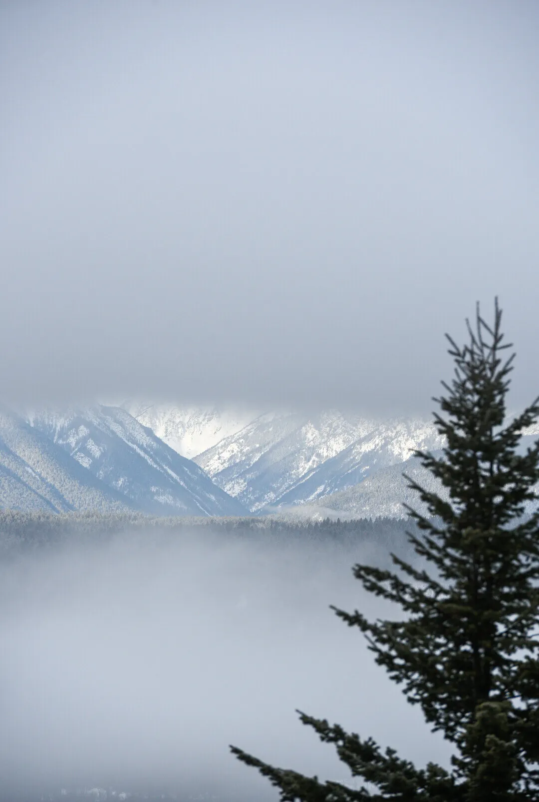 A Foggy View