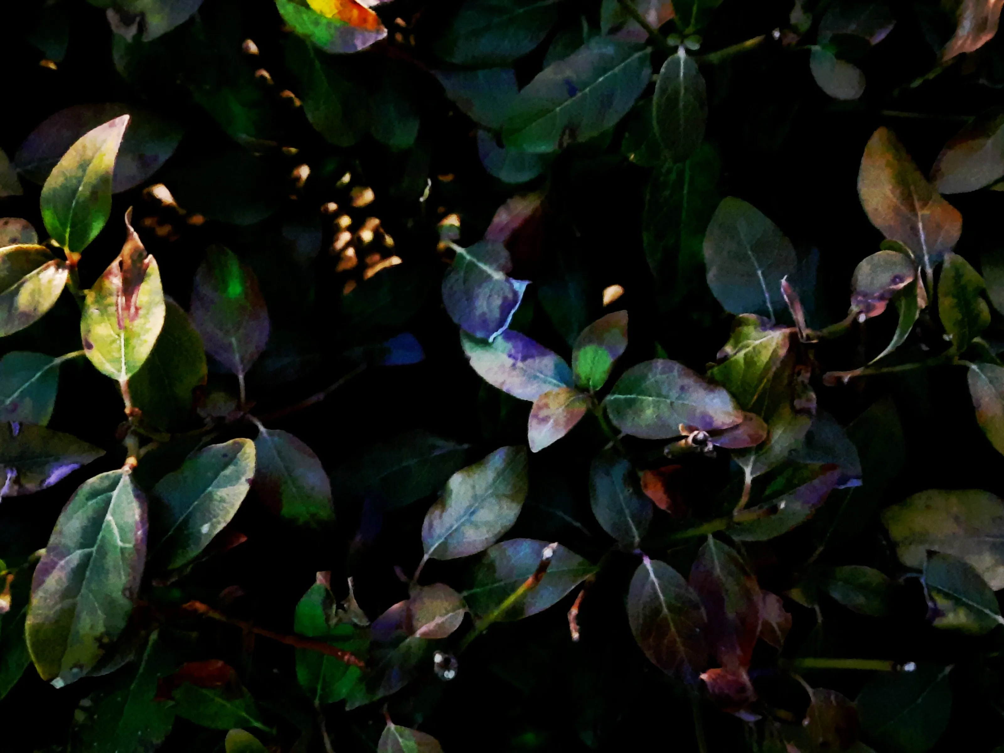 Hidden colors