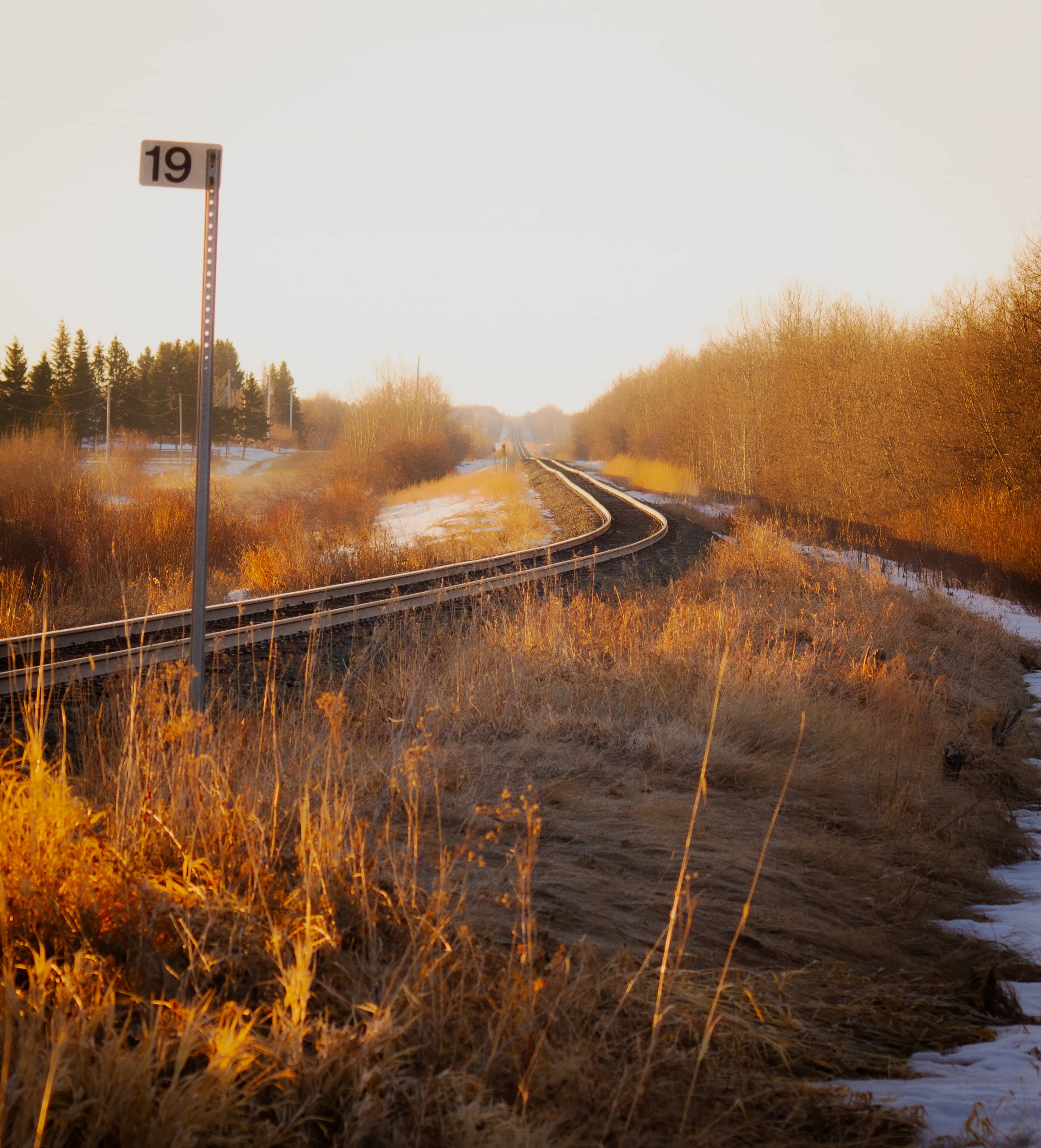 MORNING TRACKS AGLOW