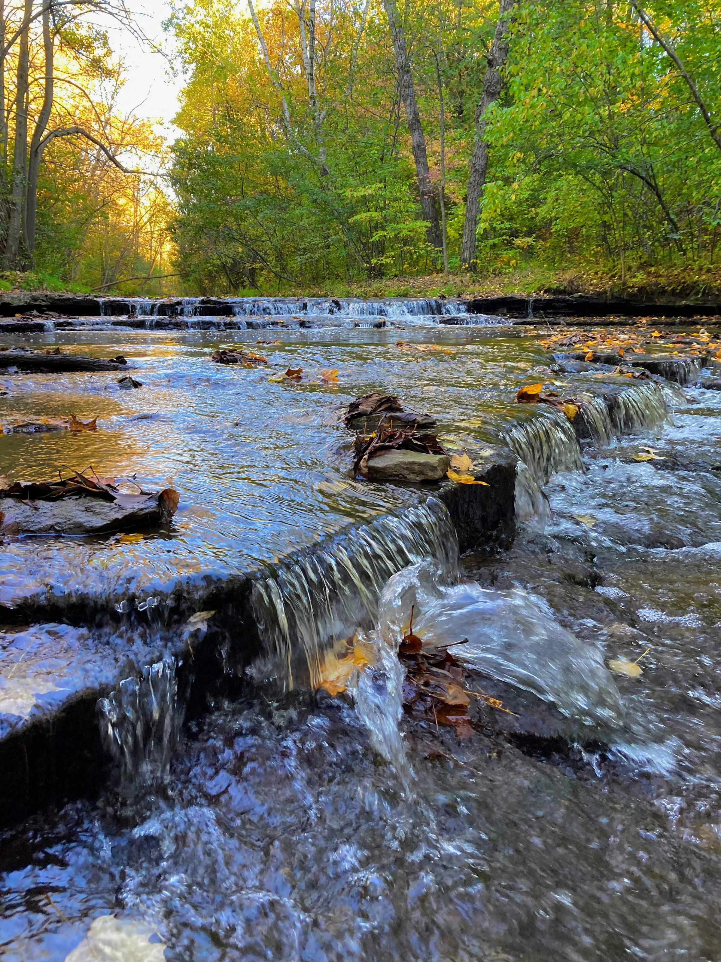 Gentle Waters