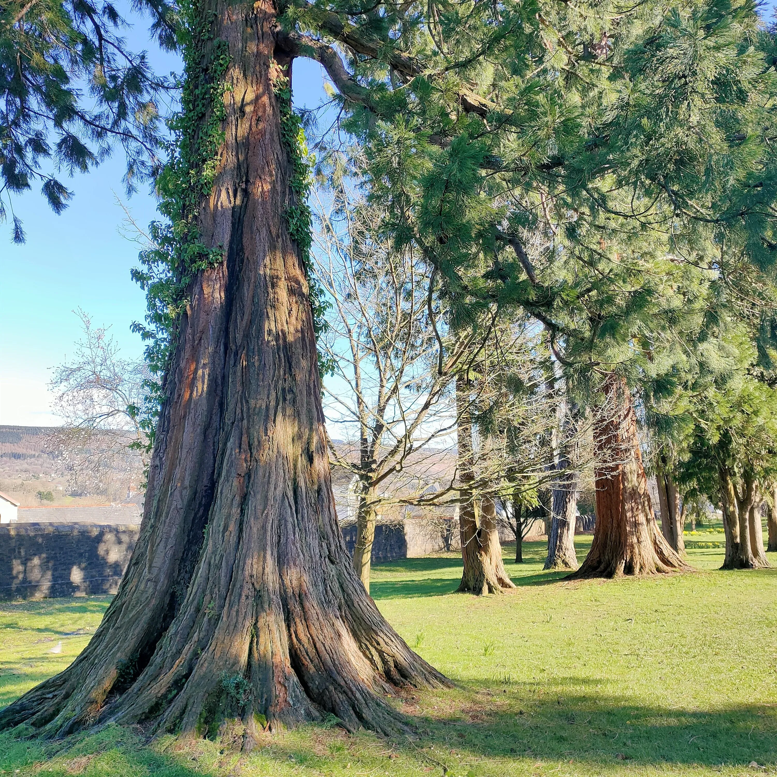 Aberdare Park