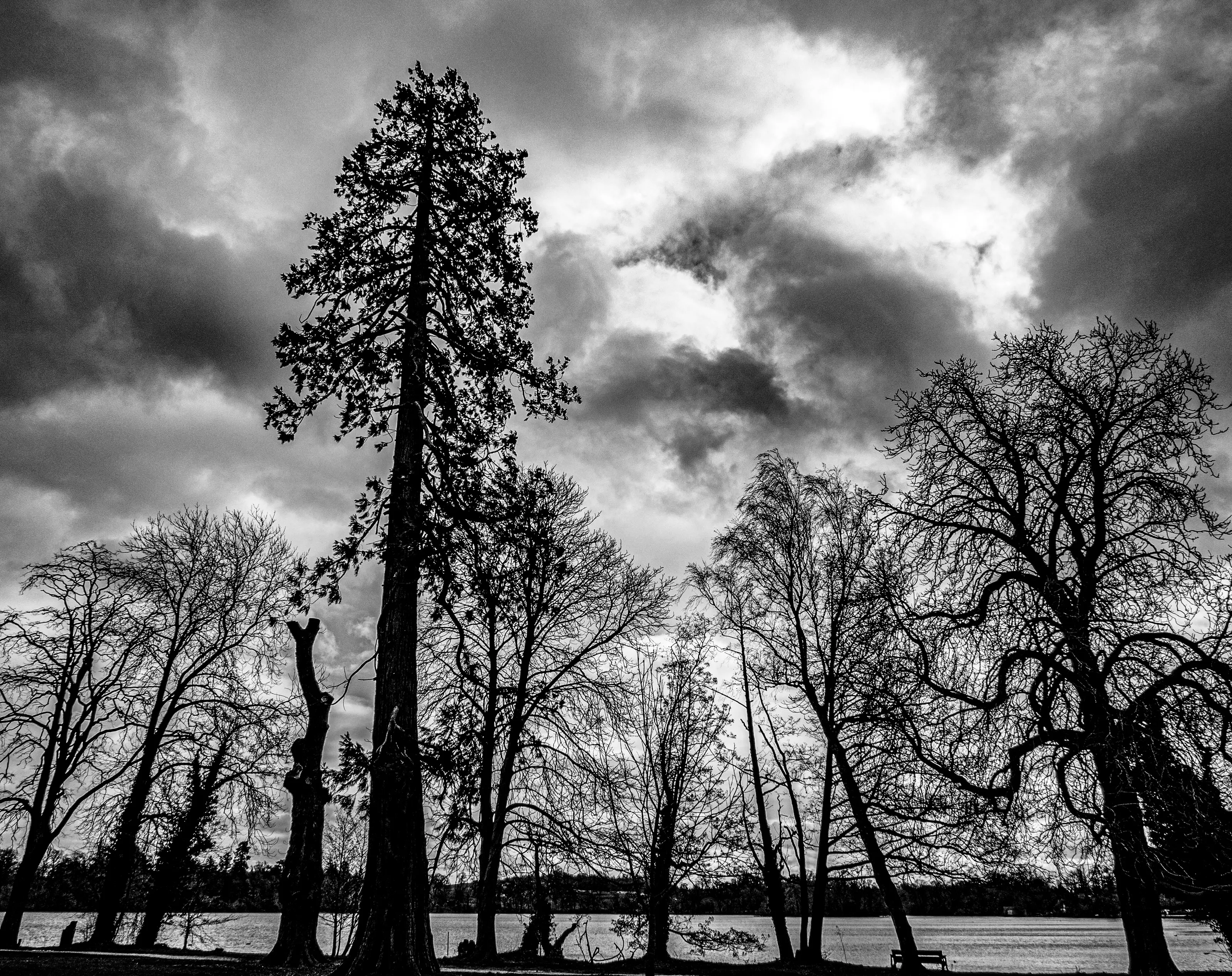 Ellesmere Outlook