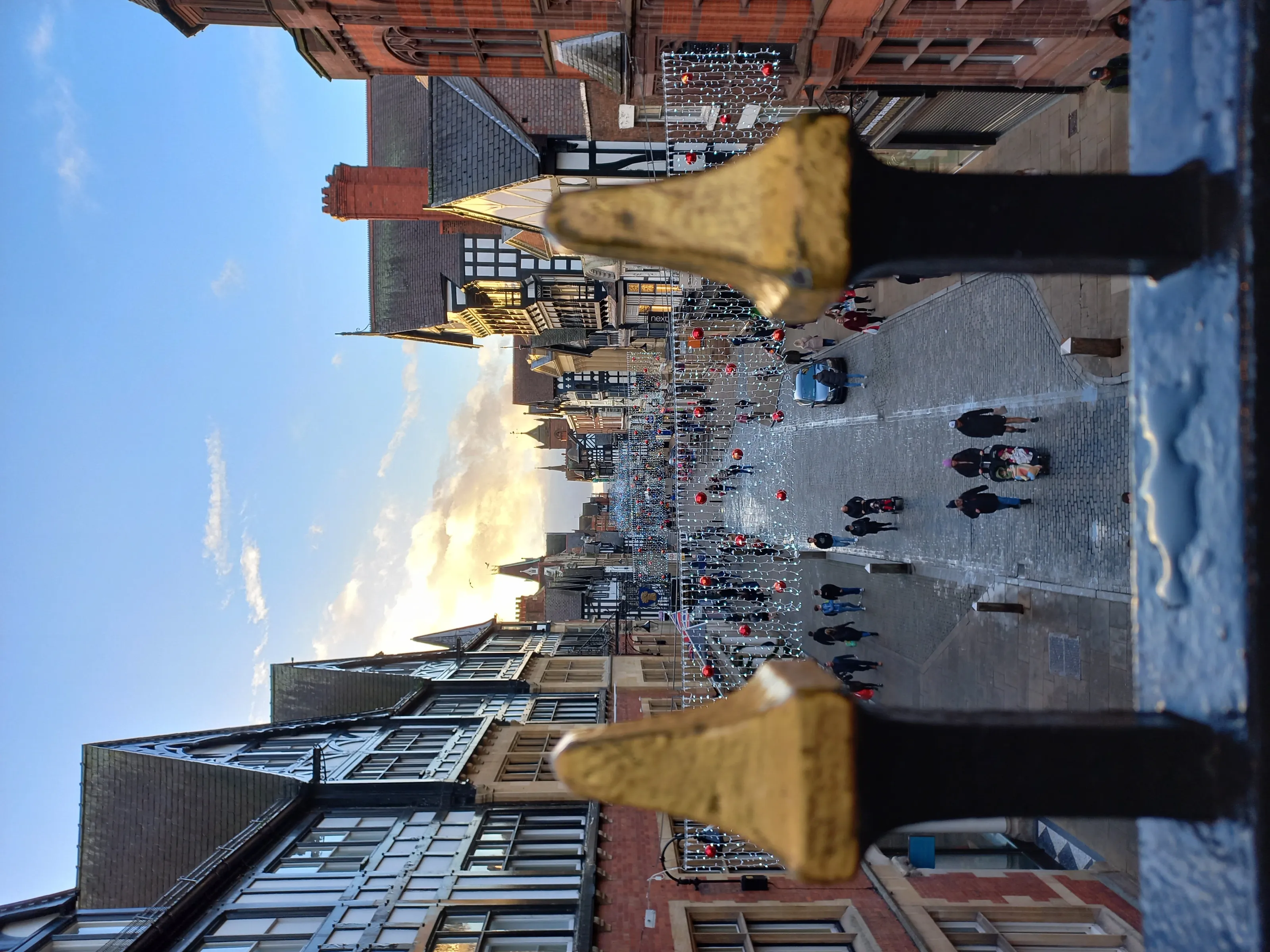 A Gated View
