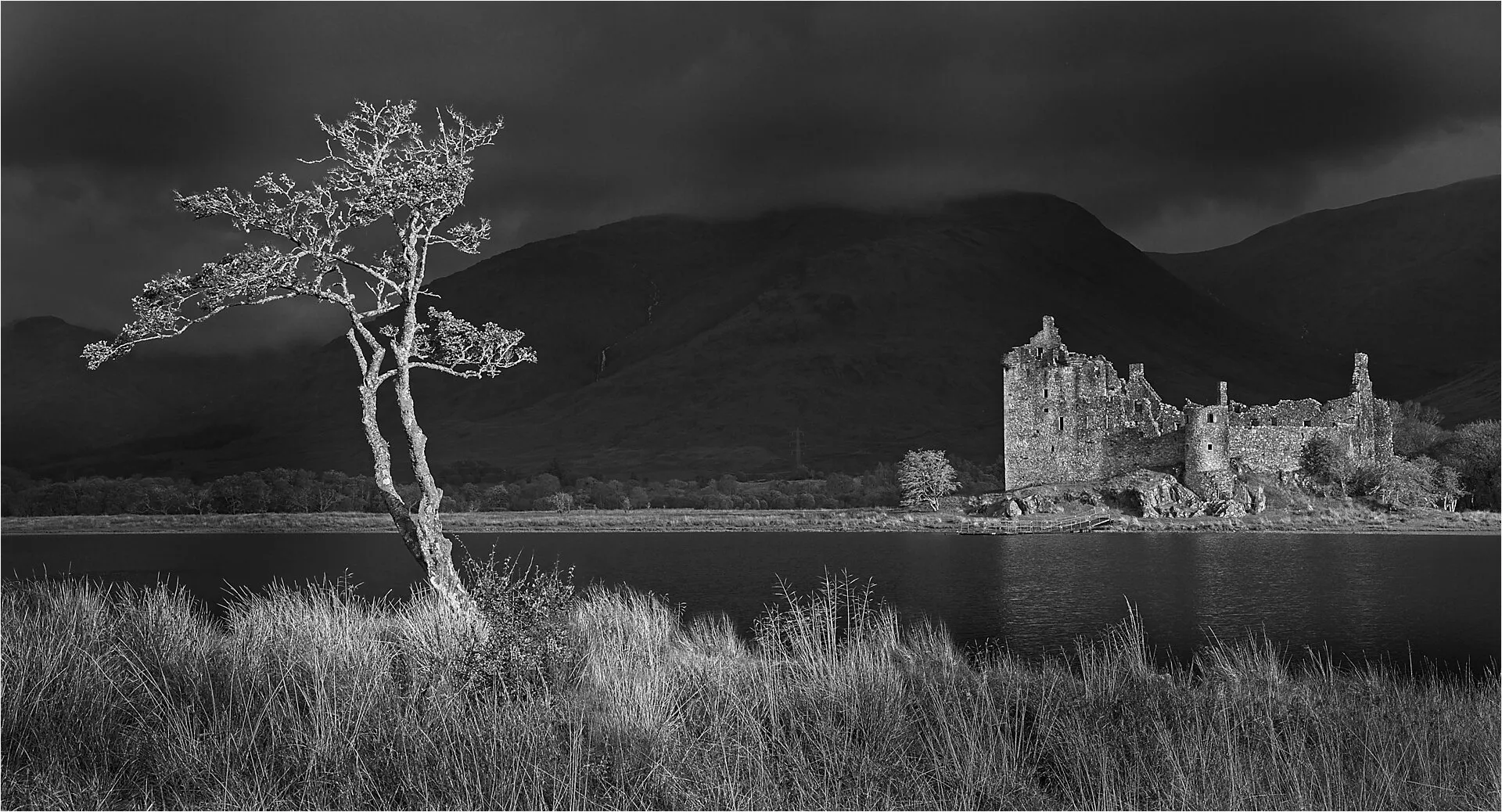 Lone Tree Loch Awe
