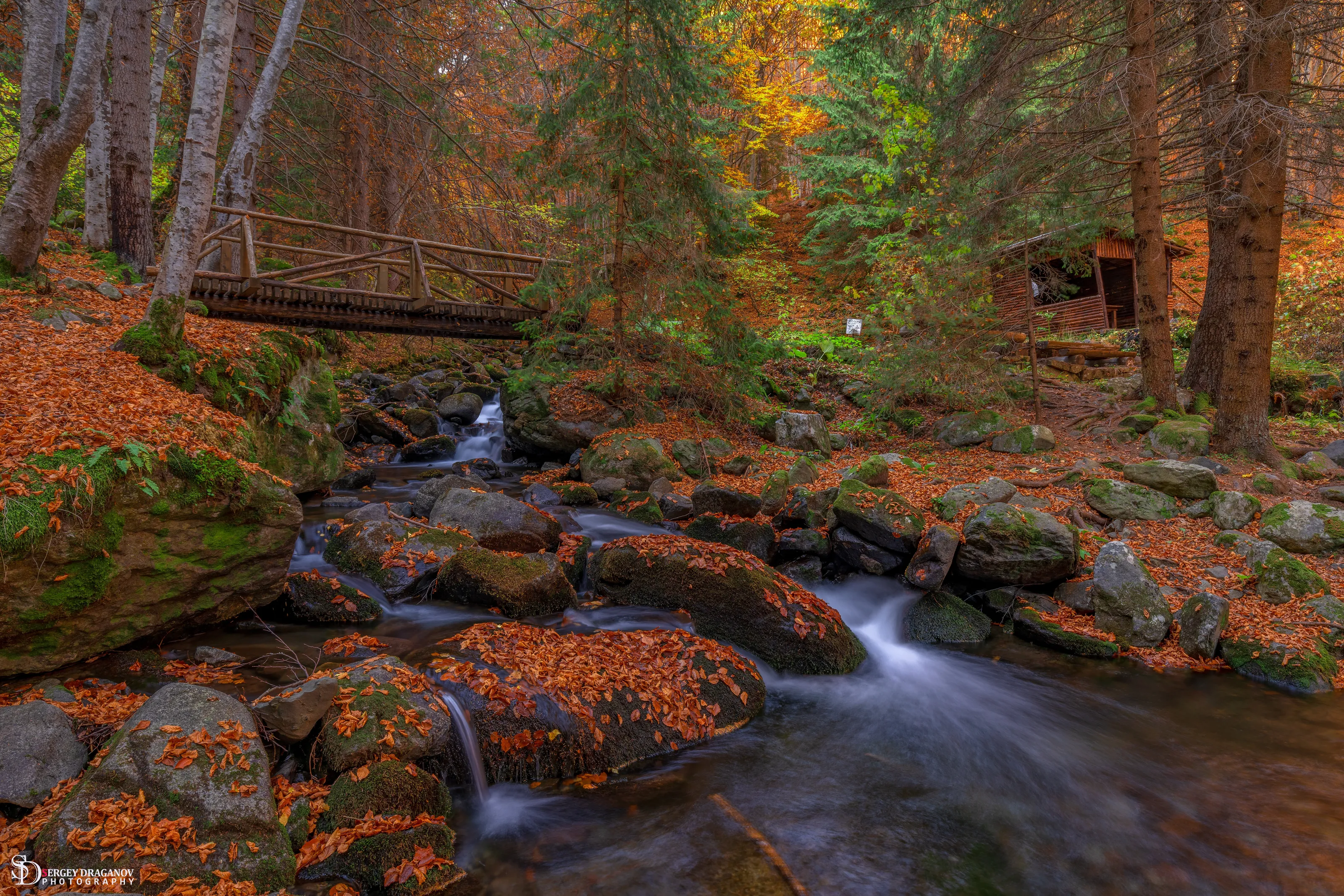 Autumn beauty of Bistrishka river