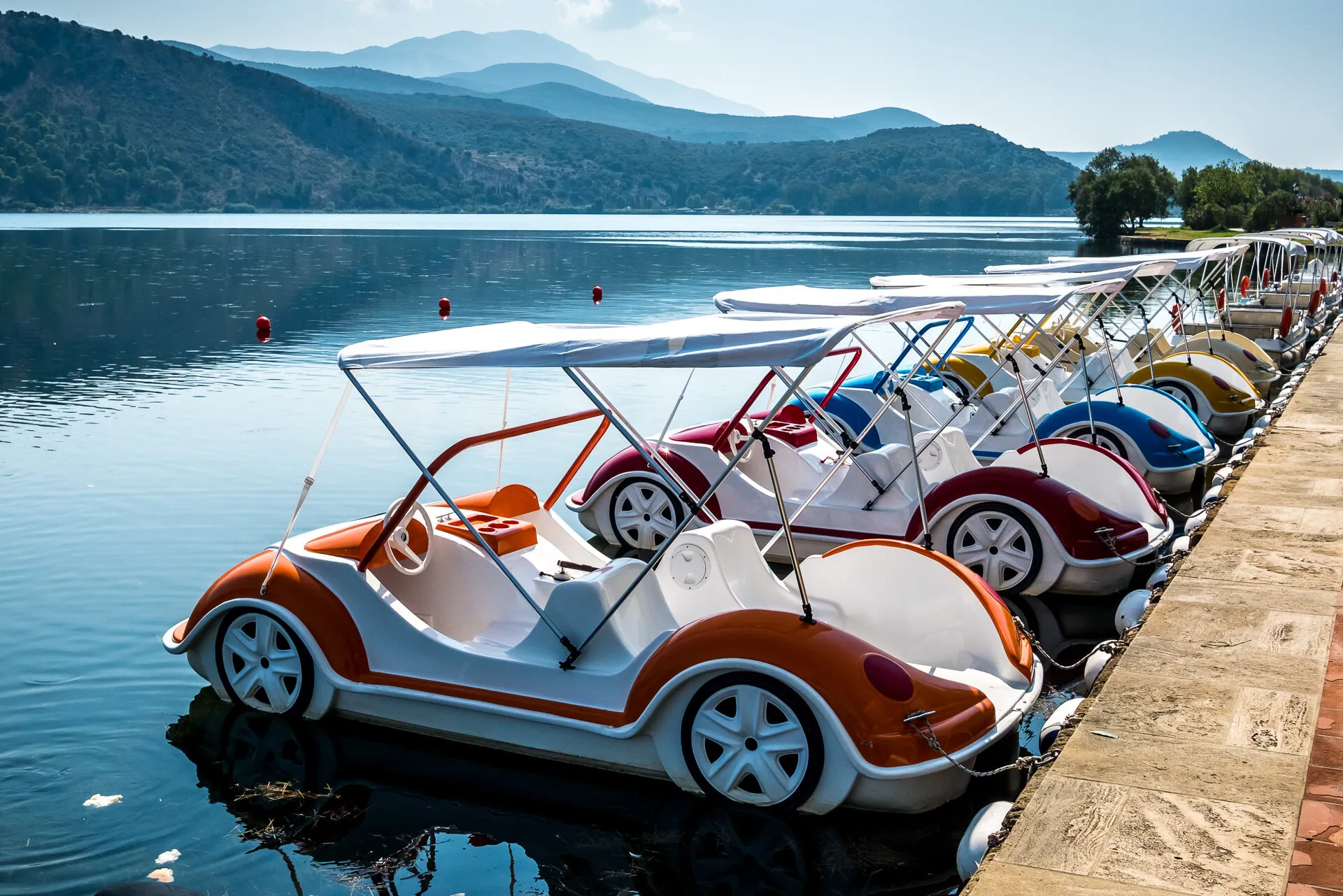 Entry 28969931