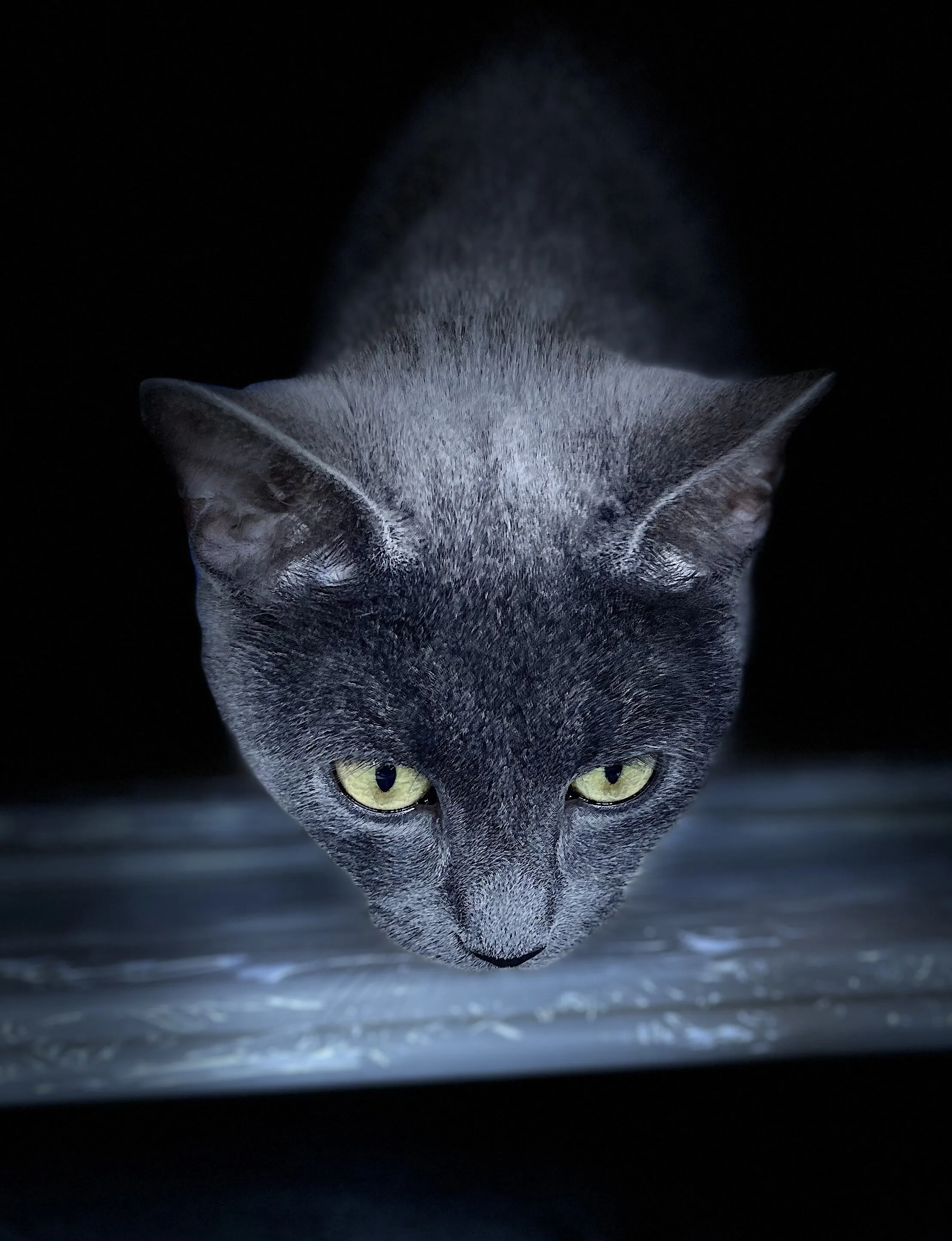 Hunting prey
