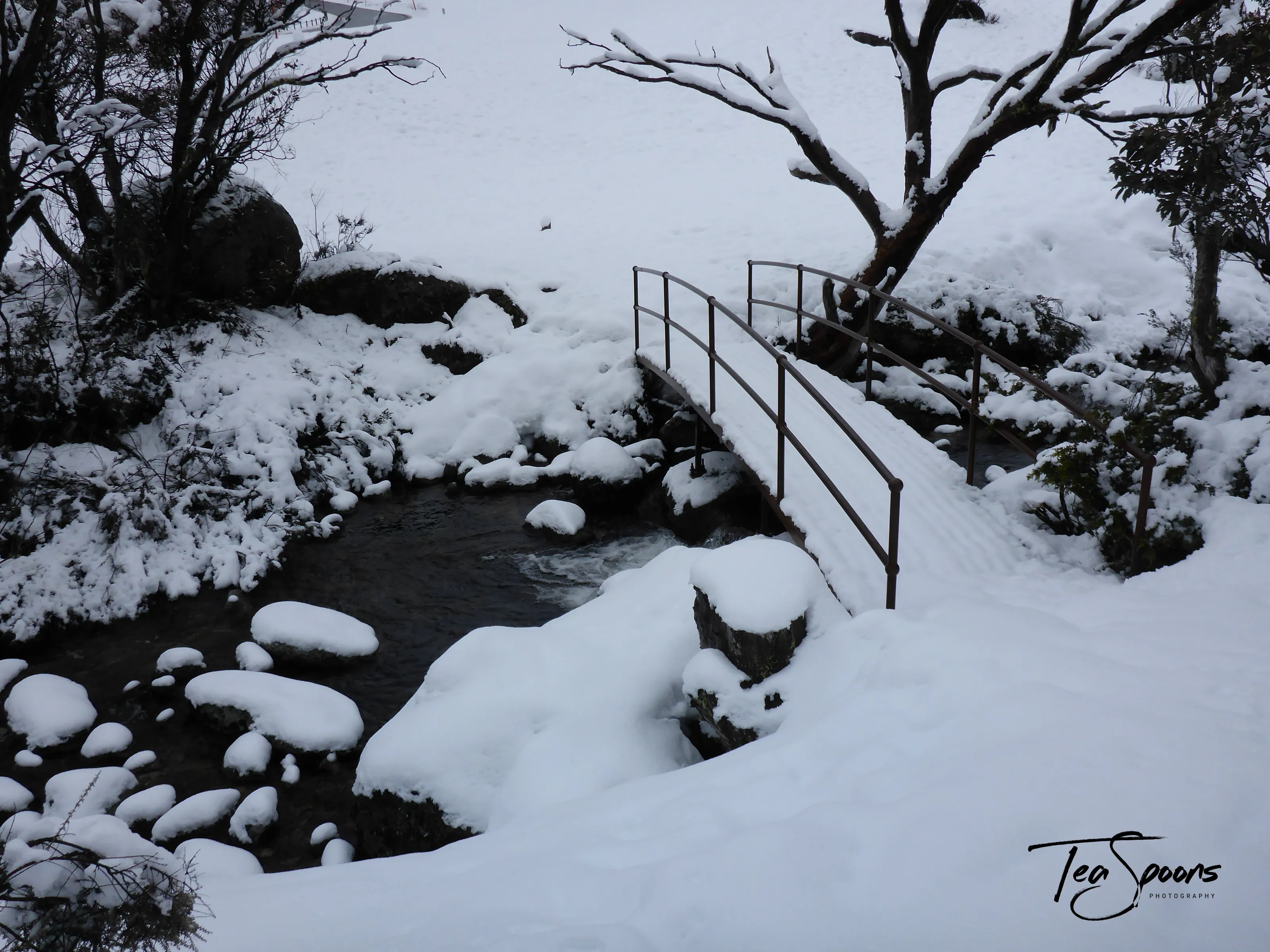 Snow covered foot bridge
