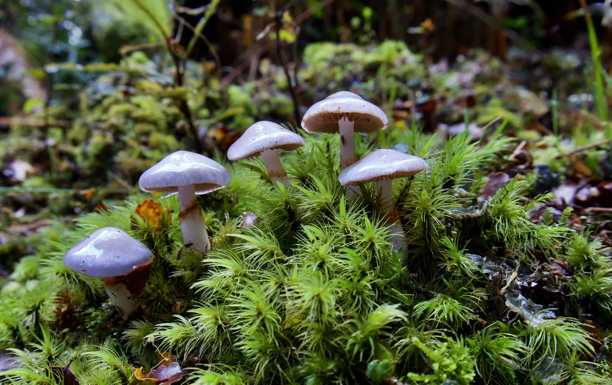 Entry 12319879