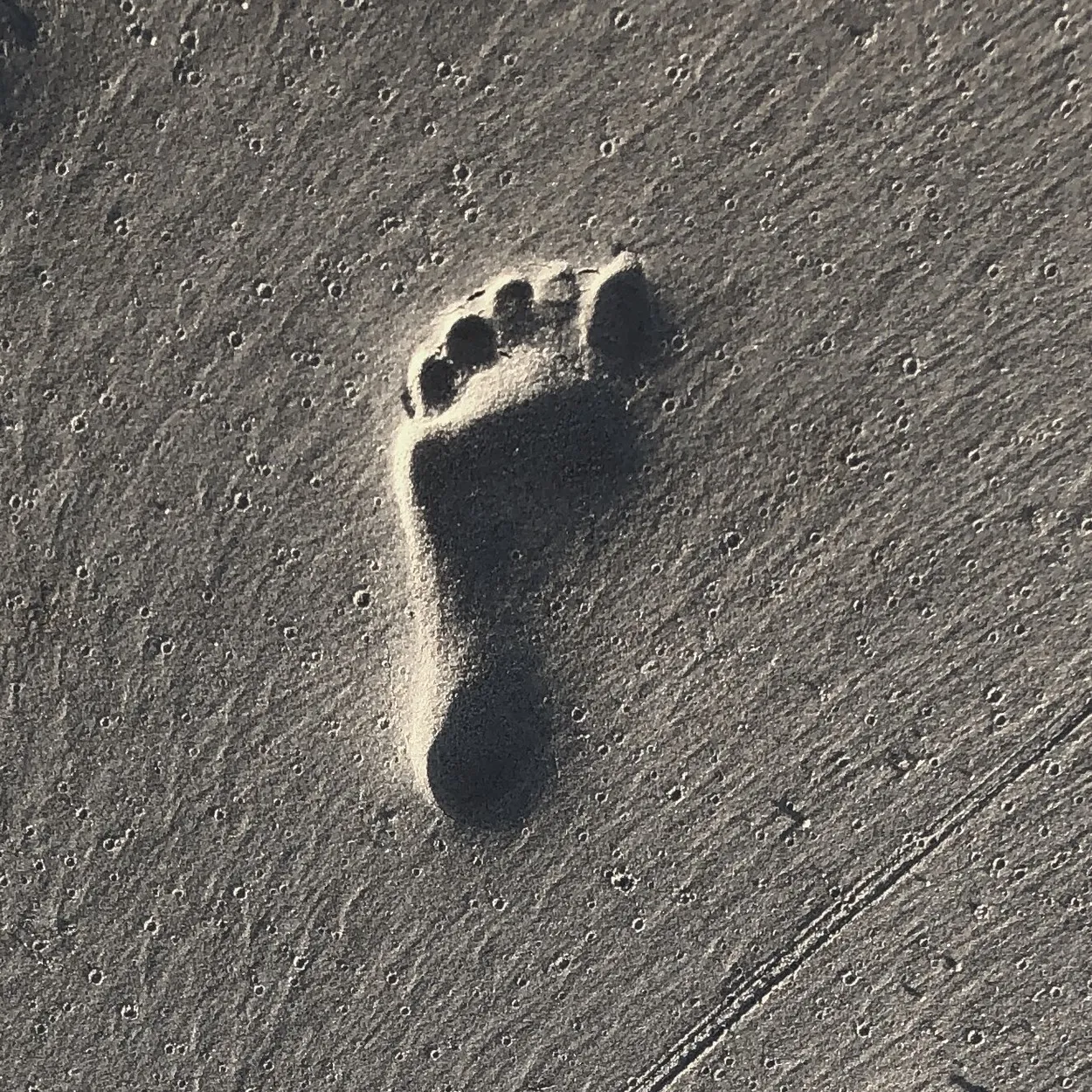 Entry 13790886