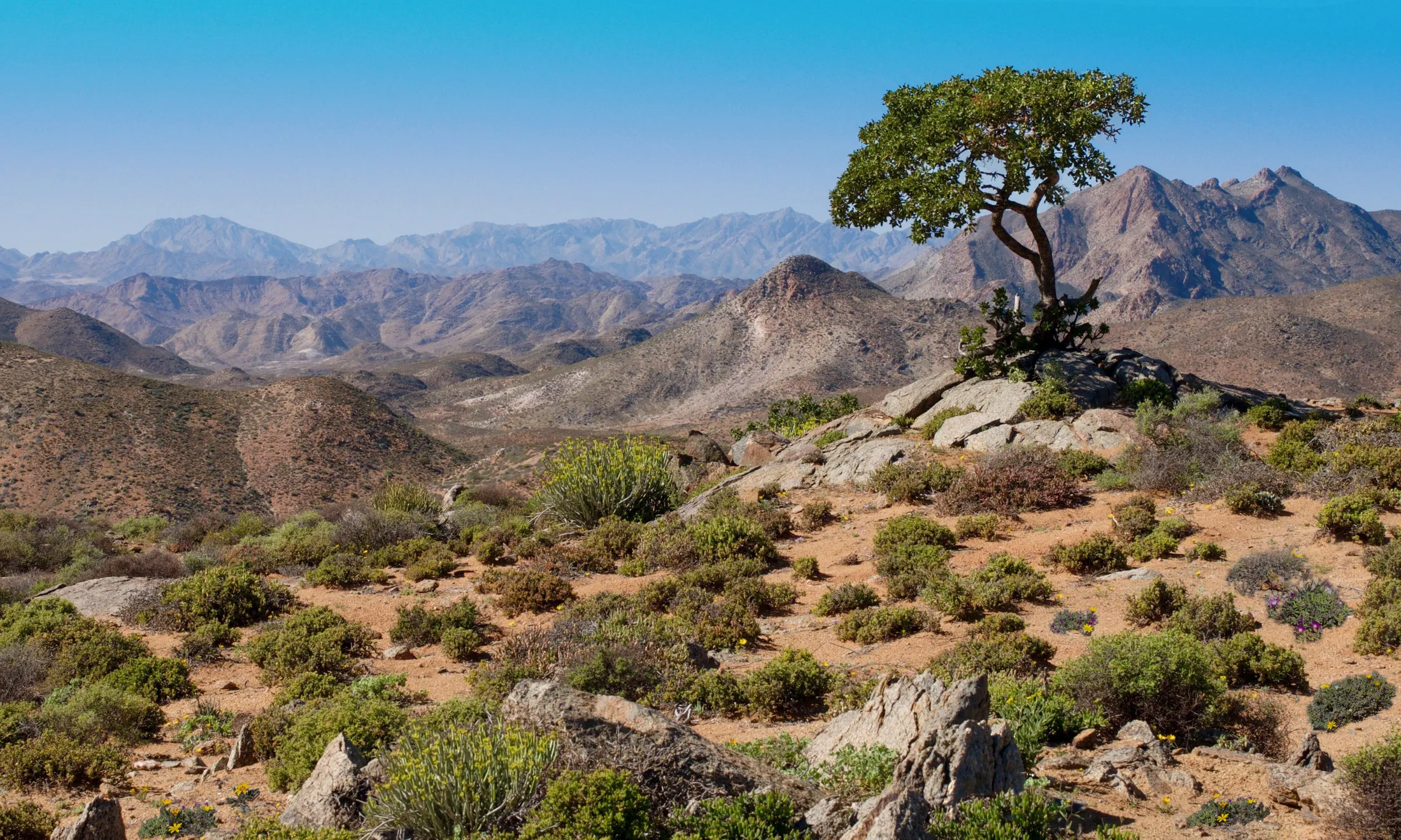 Entry 649280