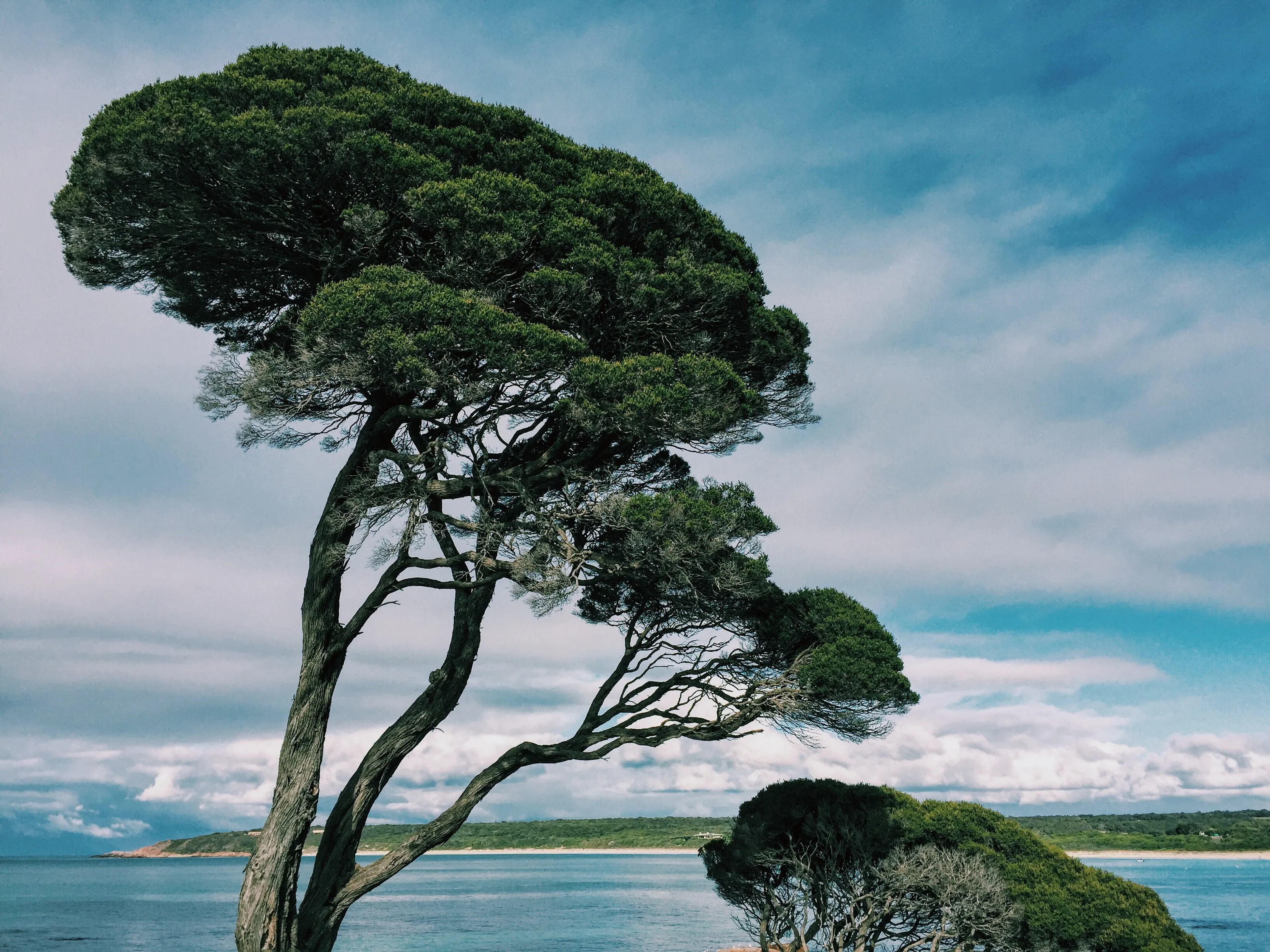 Leeuwin-Naturaliste, WA. 01-05-16