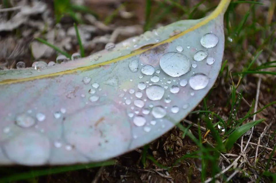 After Rain