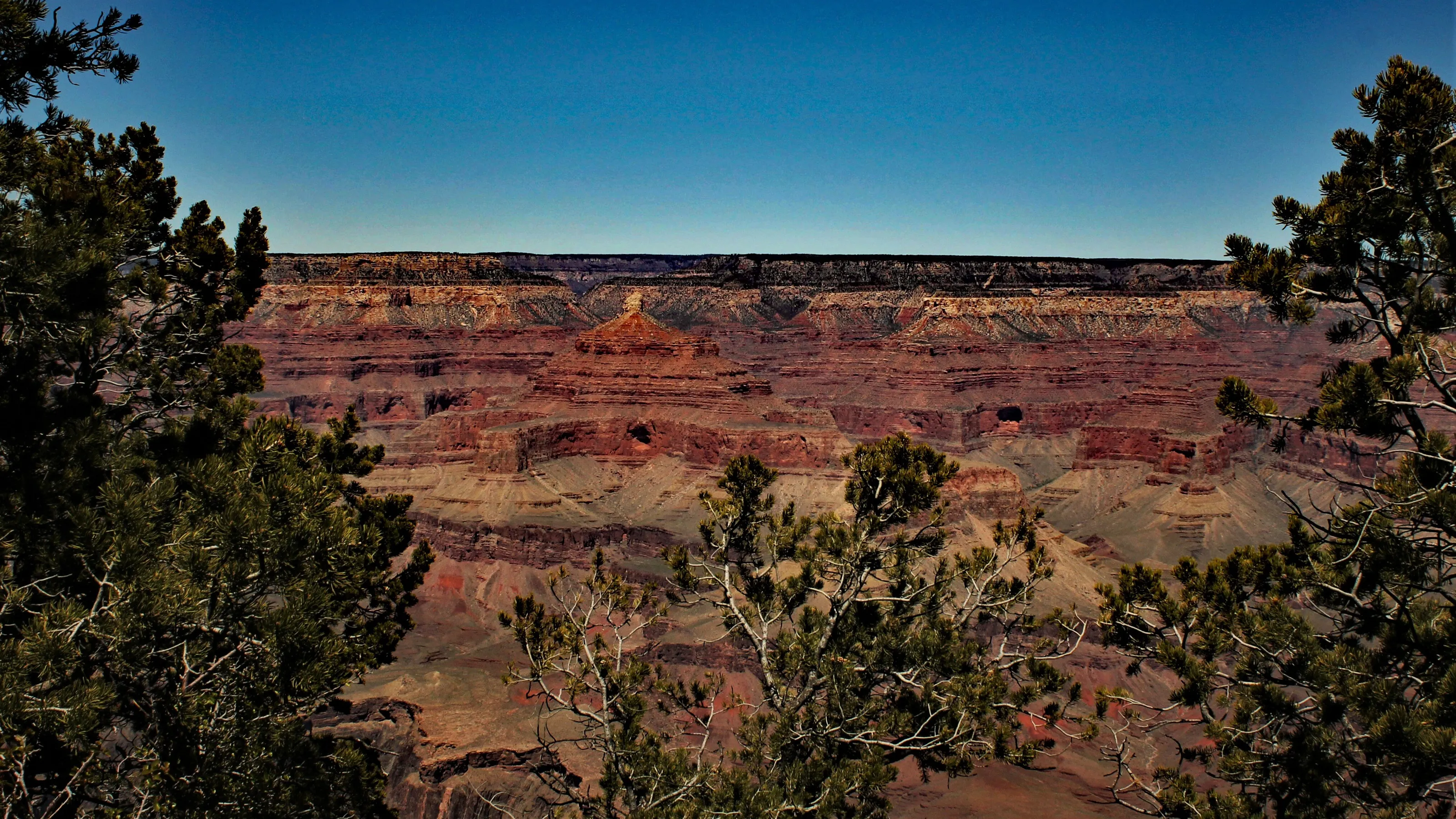 South Rim overlook