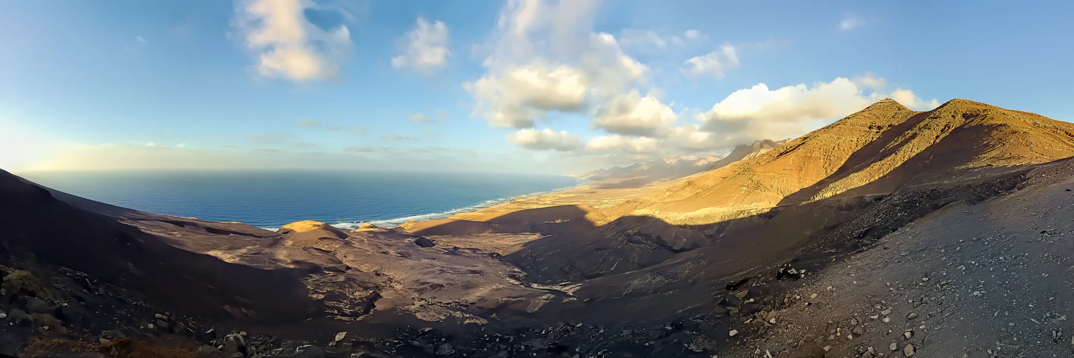 Entry 27608354