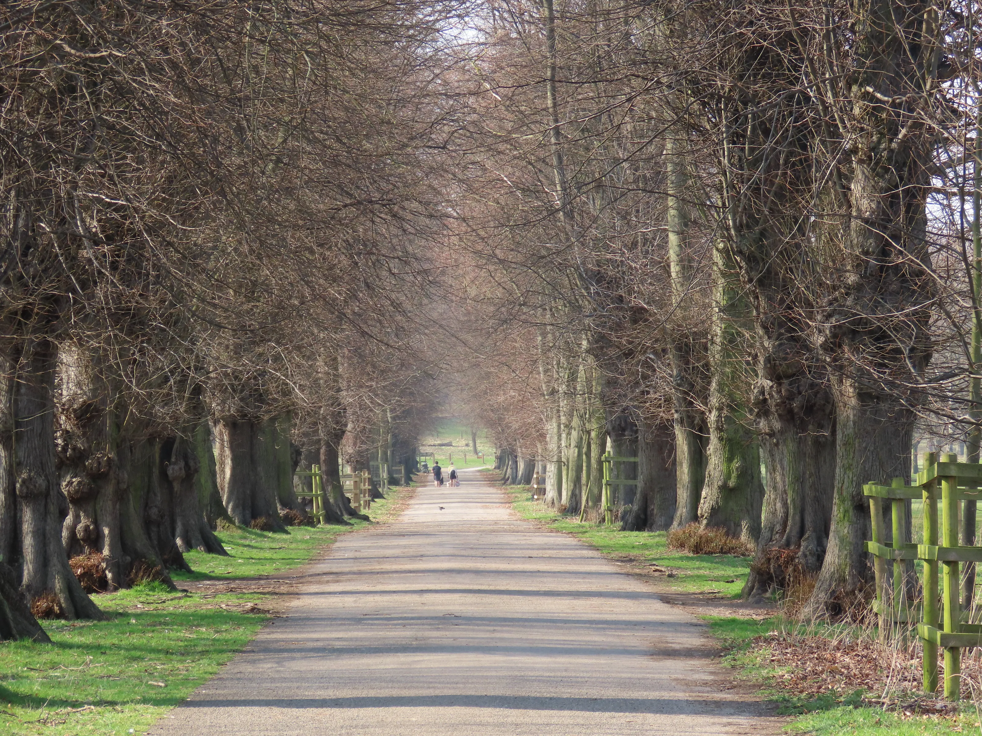 The long path.