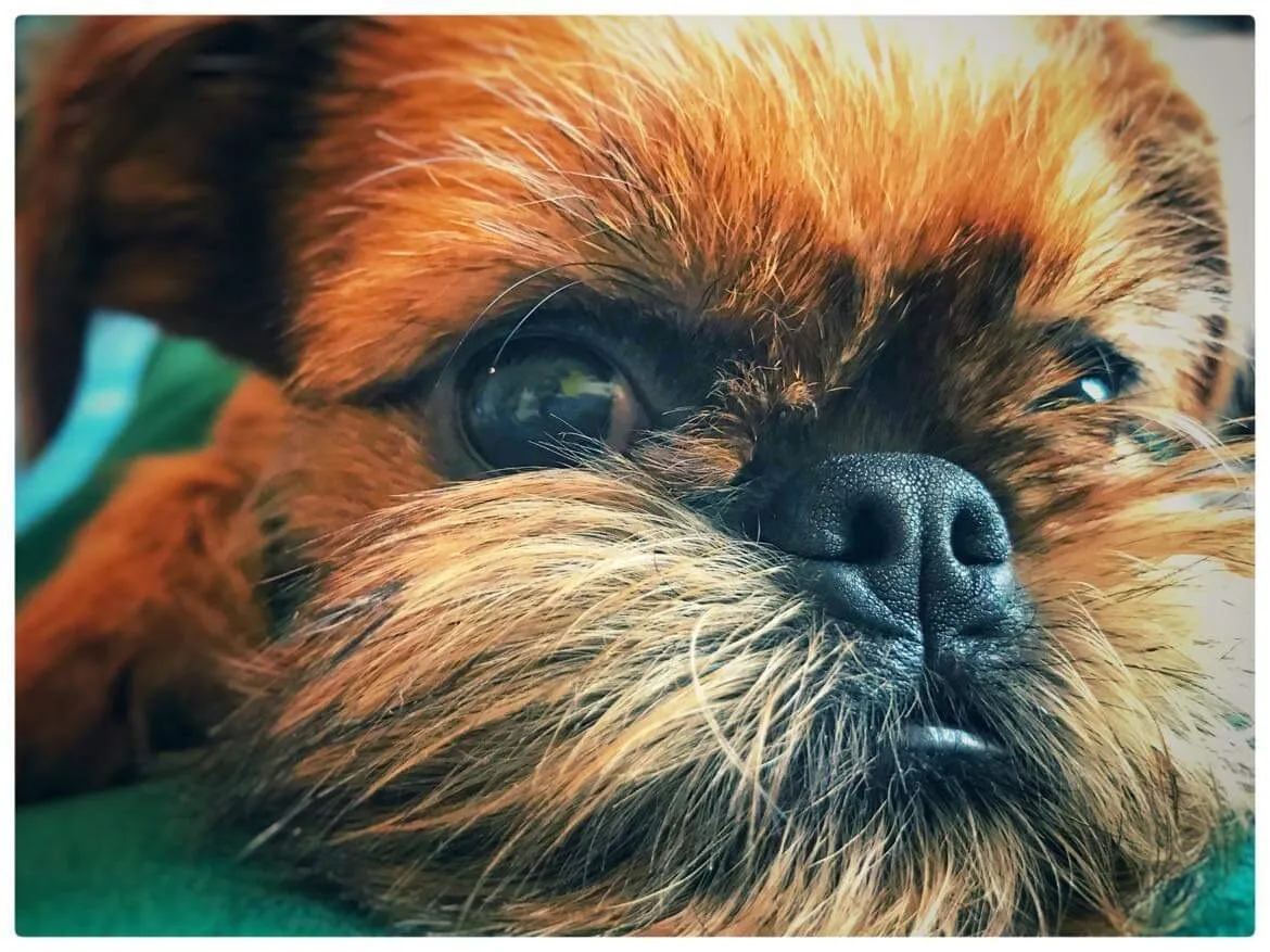 Banner image