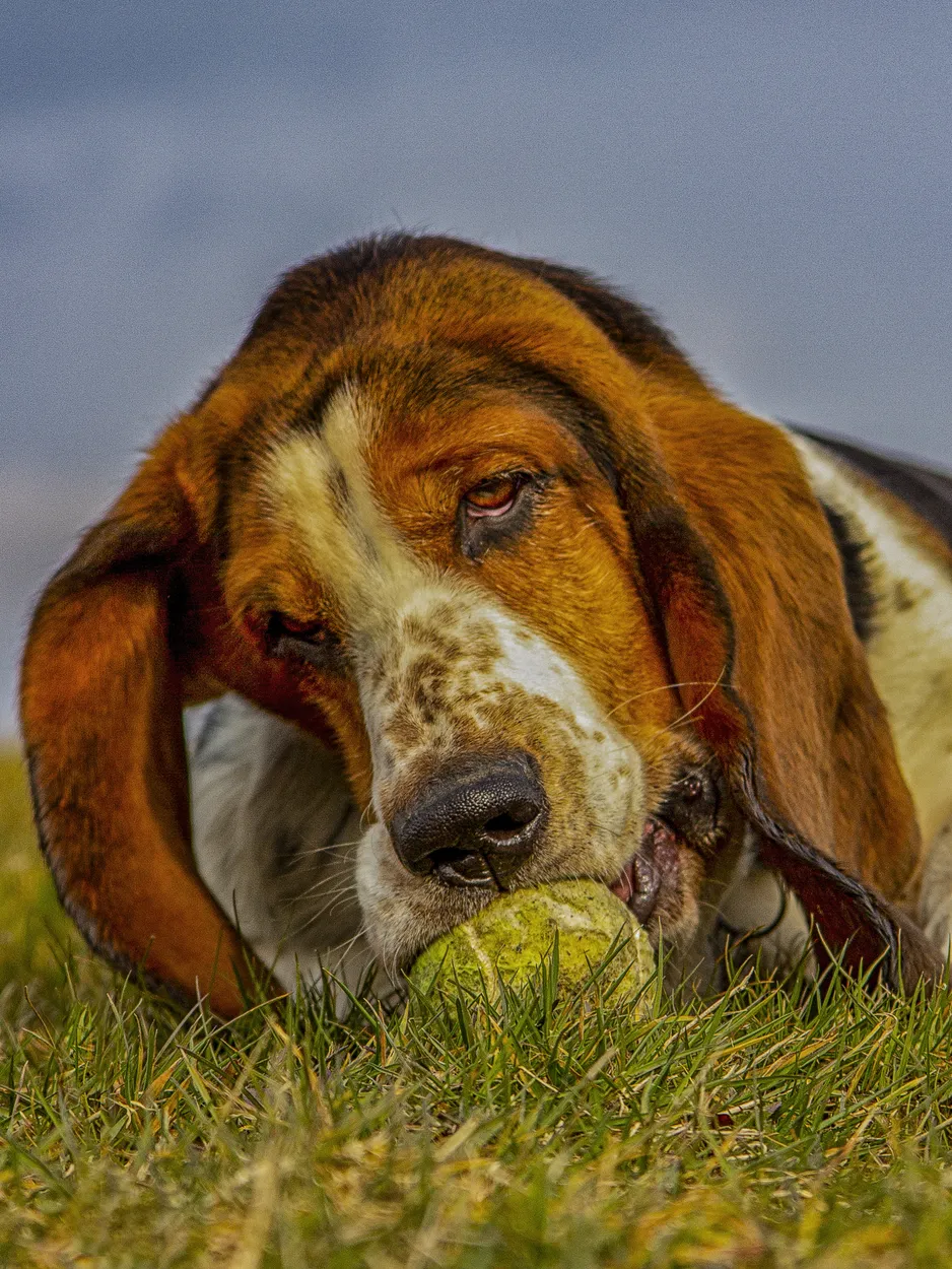 Entry 12401438