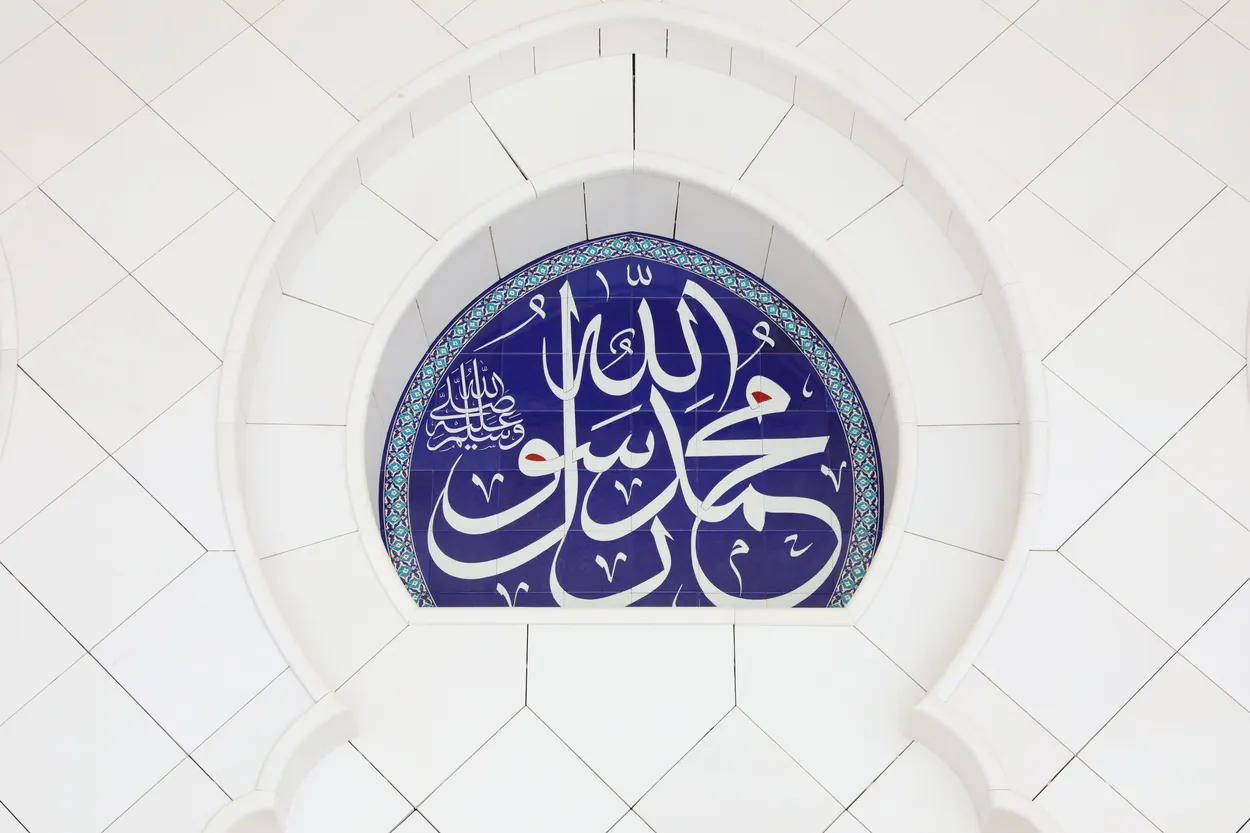 Entry 12443092