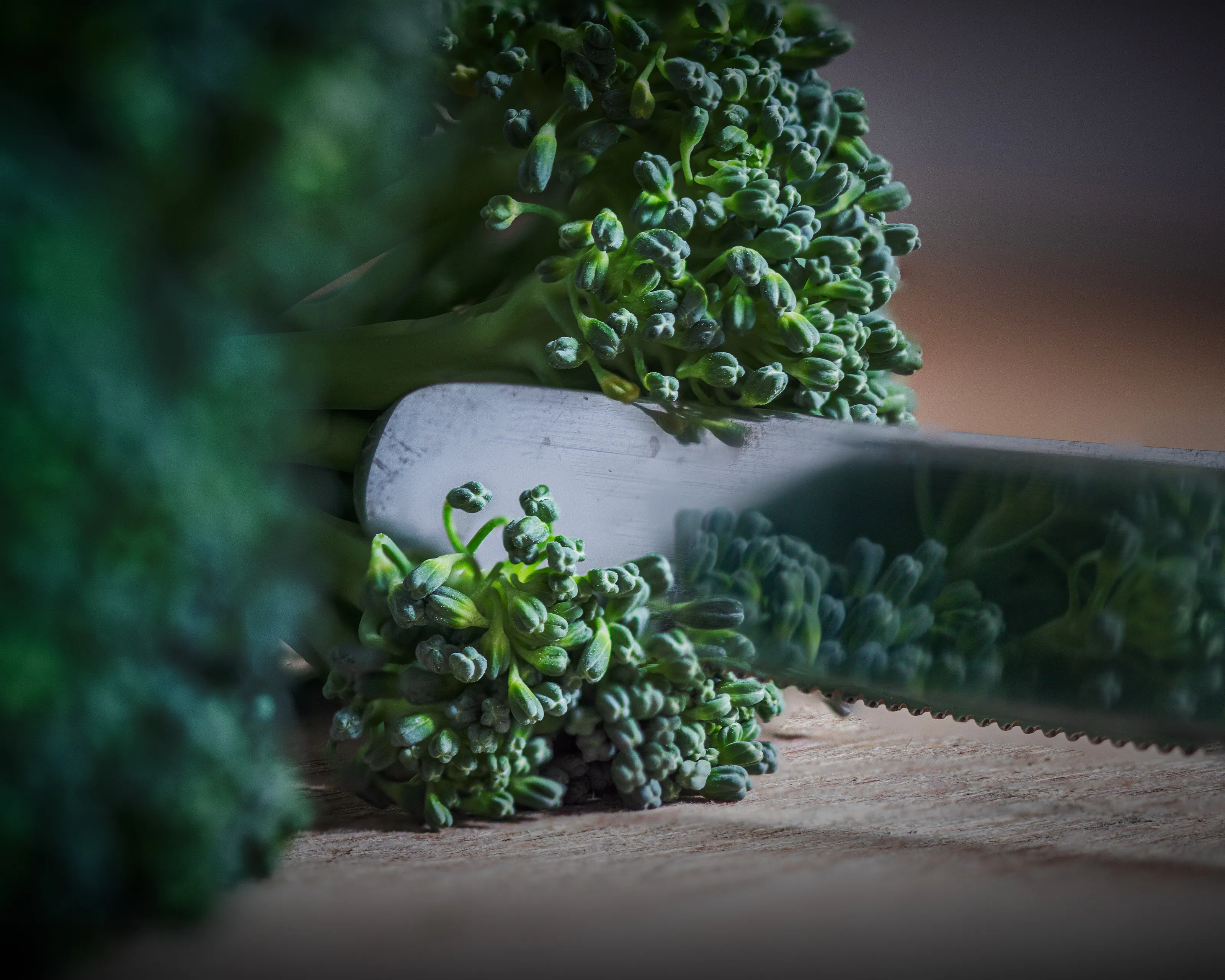 Broccoli