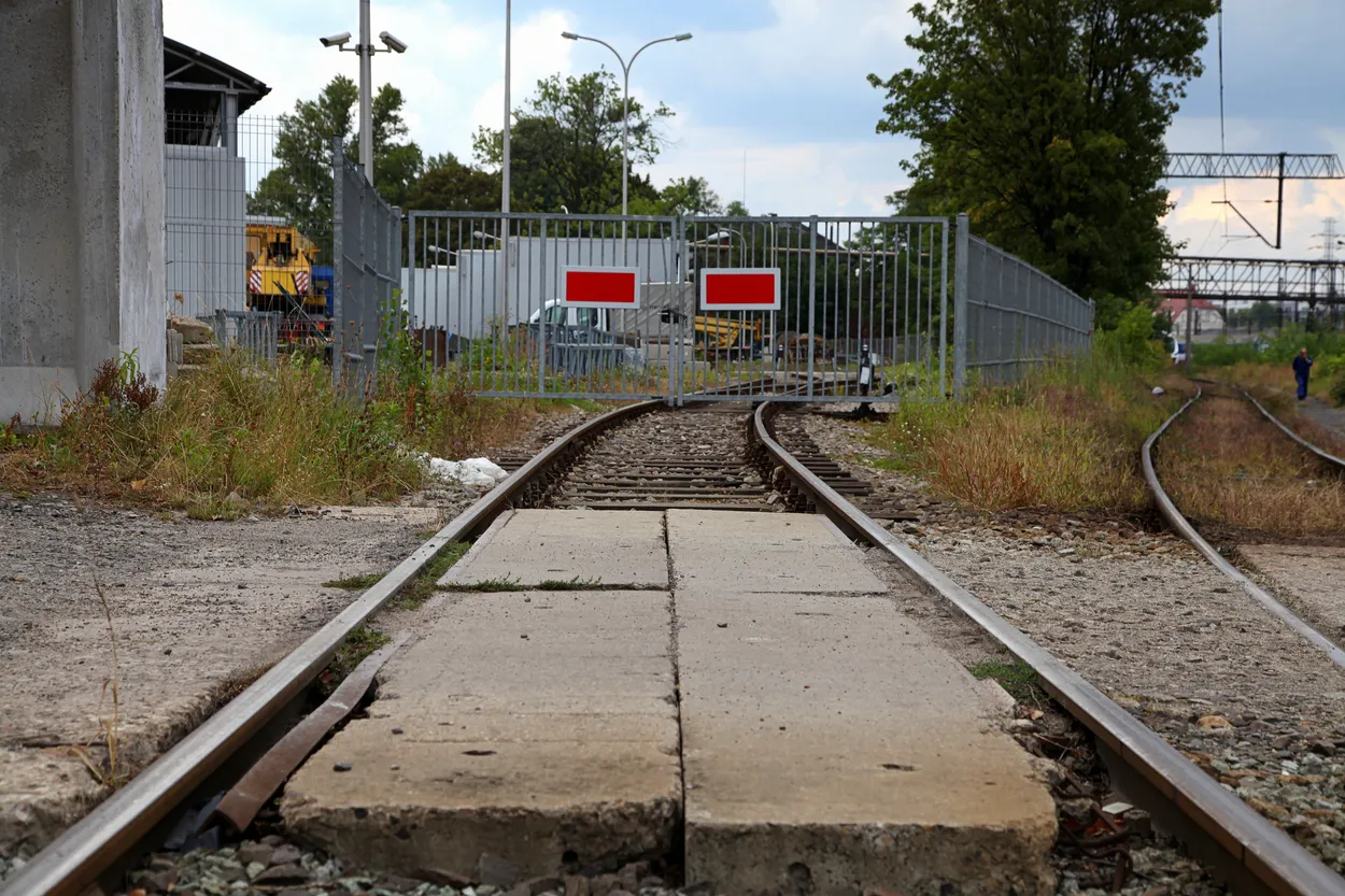 Entry 12411882