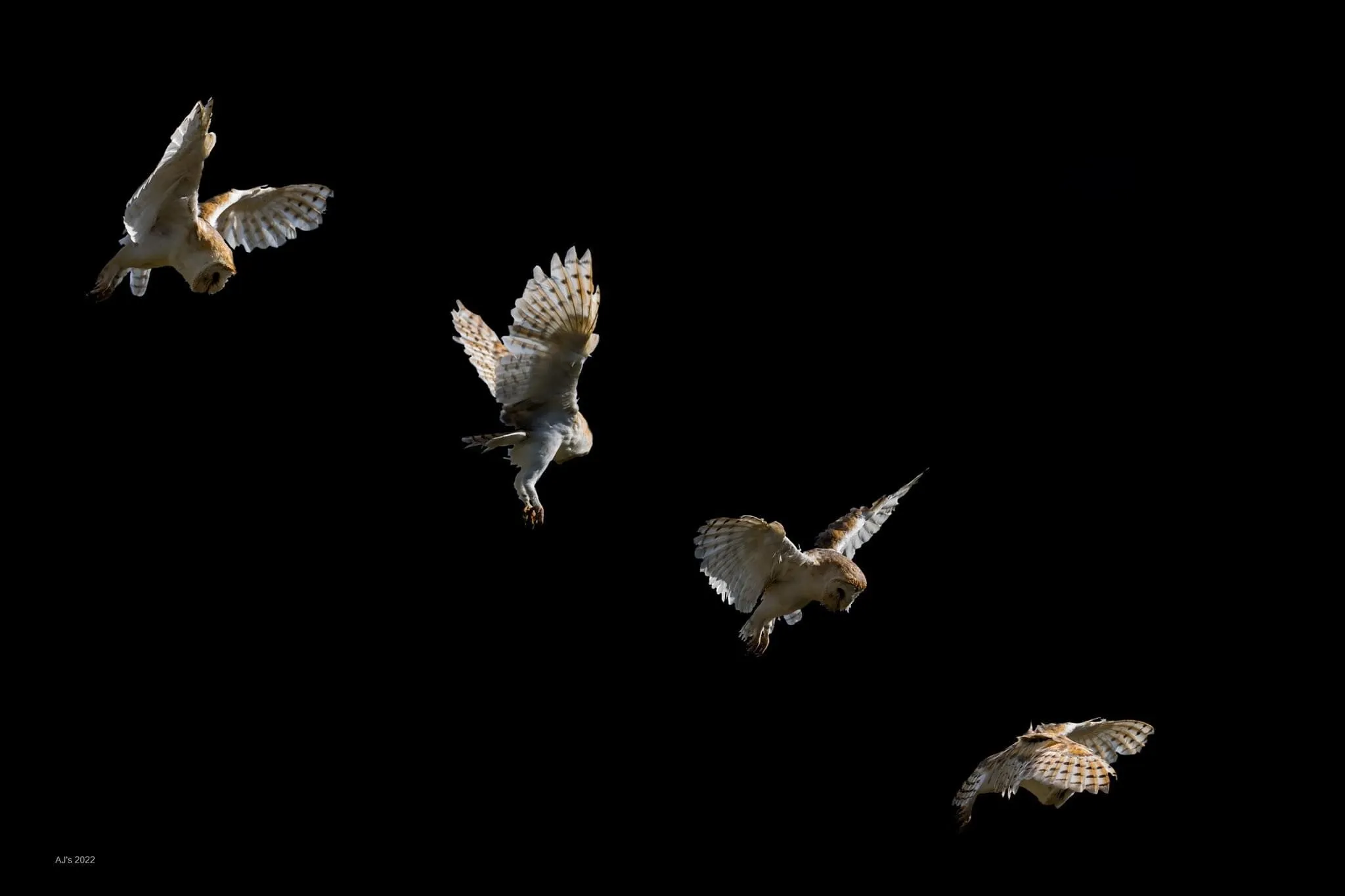 In flight