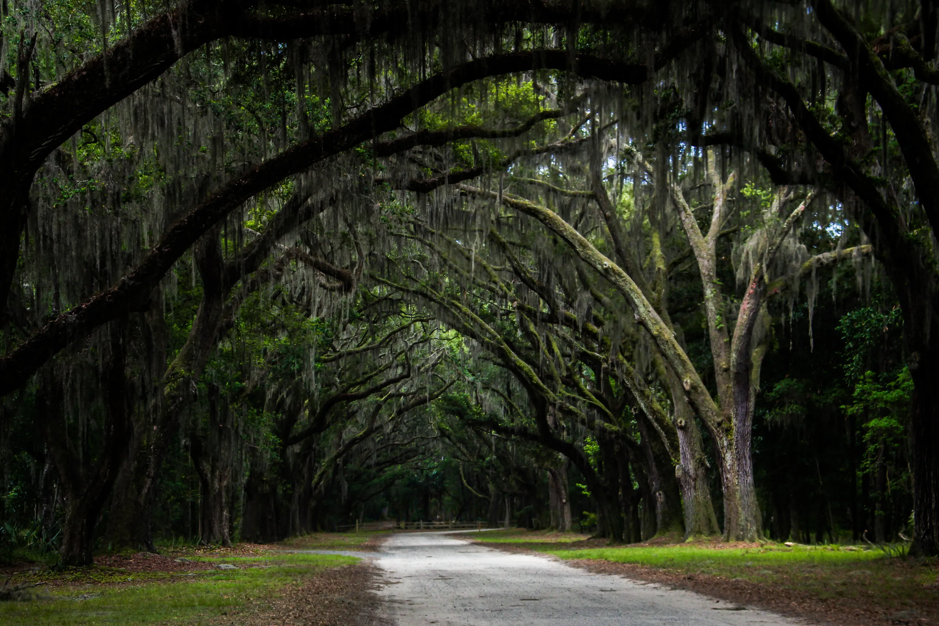 Dark Mystery Road