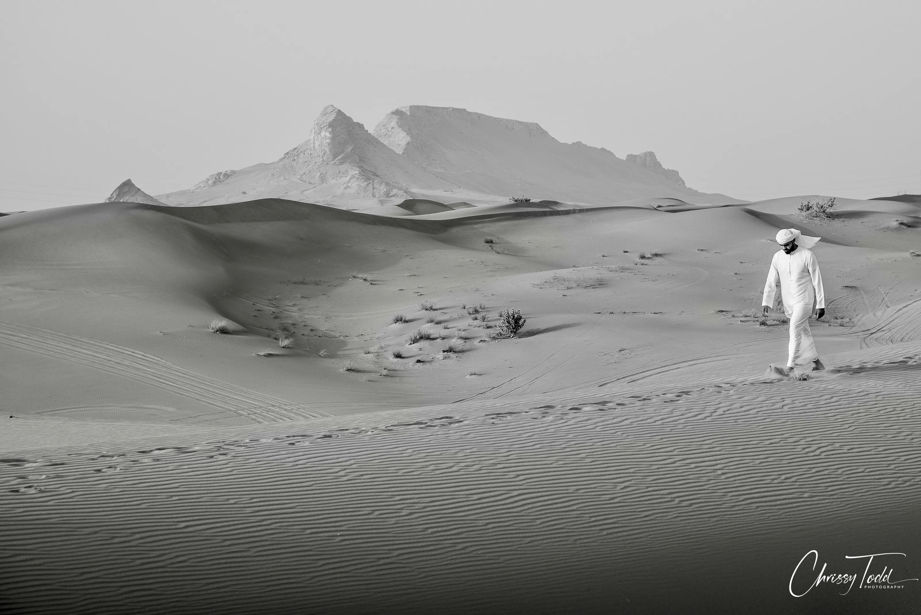 Desert Landscape