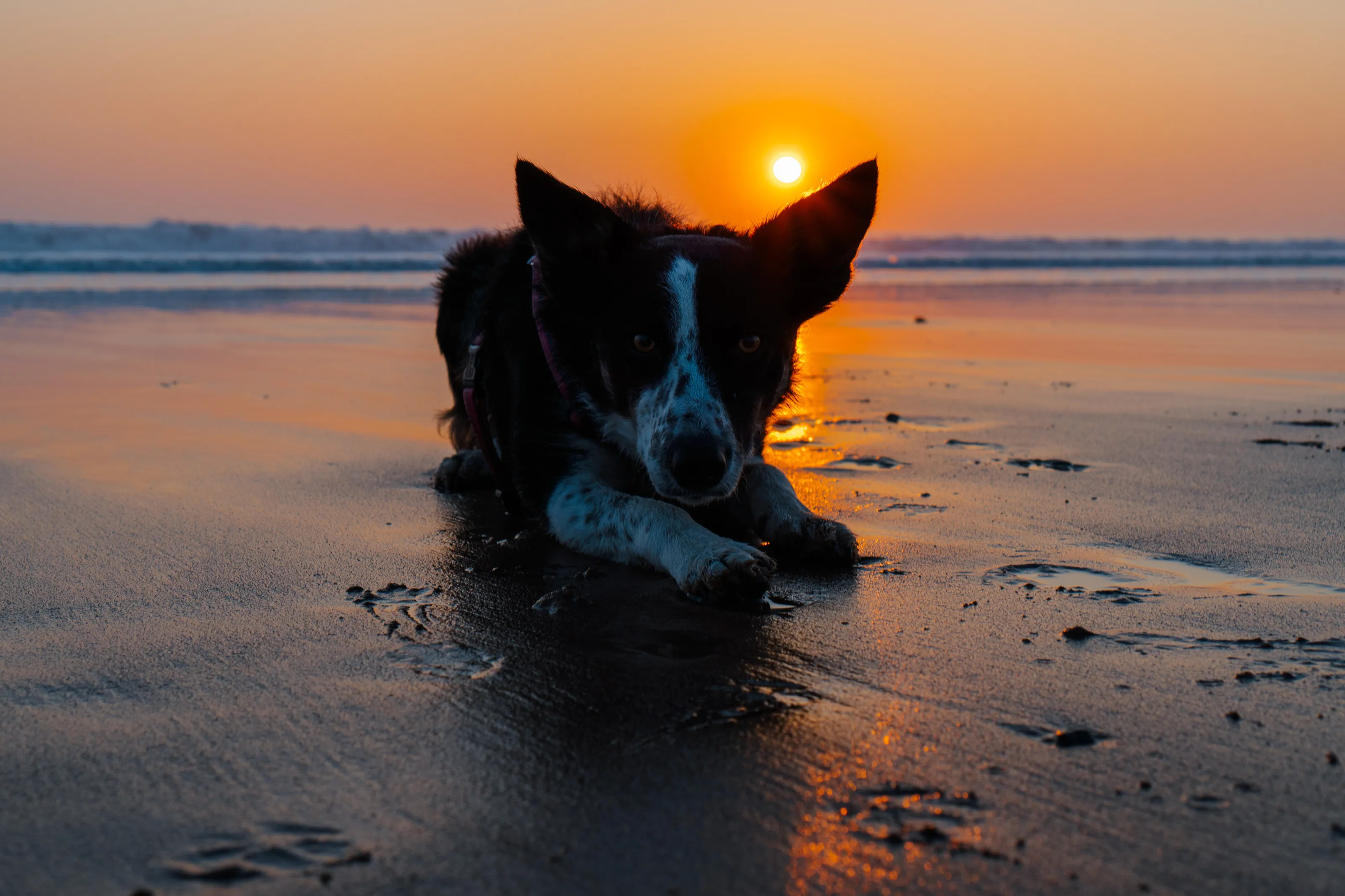 Sunrise with Fleece