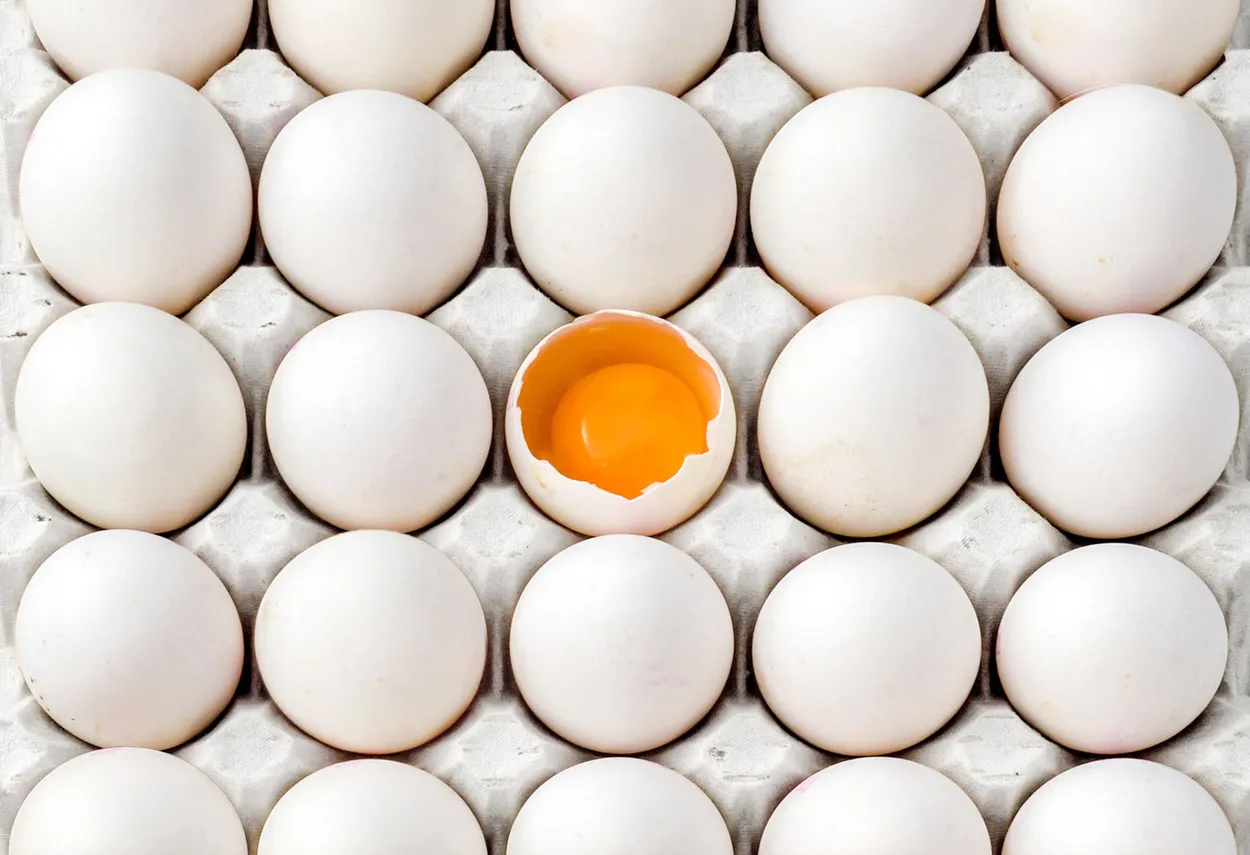 One open egg