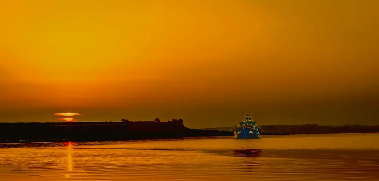 Entry 12450041