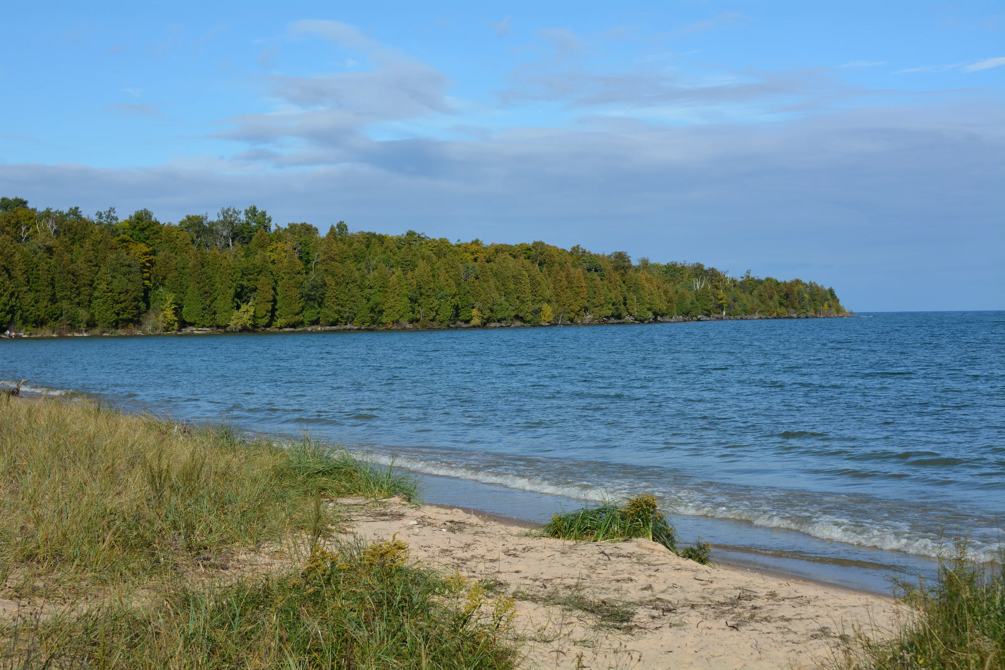 Door County Shoreline
