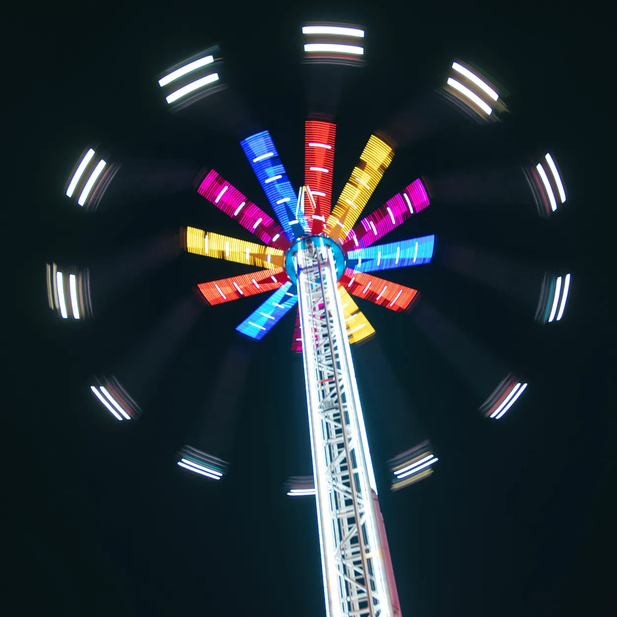 Entry 19568686