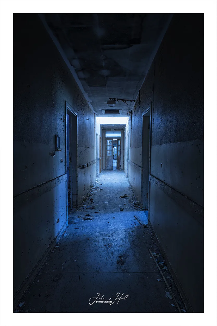 Entry 19439532