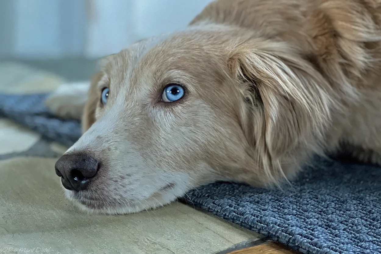 Entry 12452714