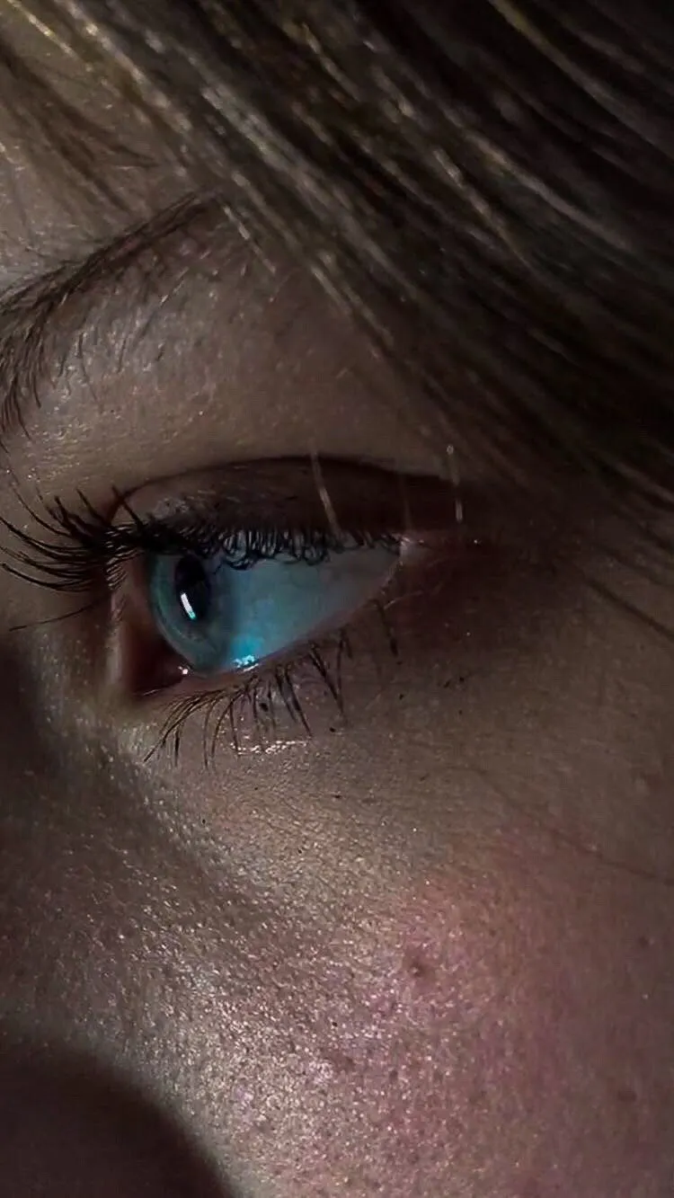 Eye into the world