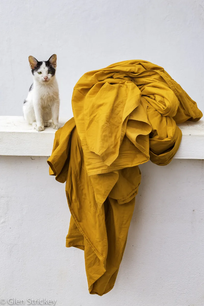 Entry 5126410