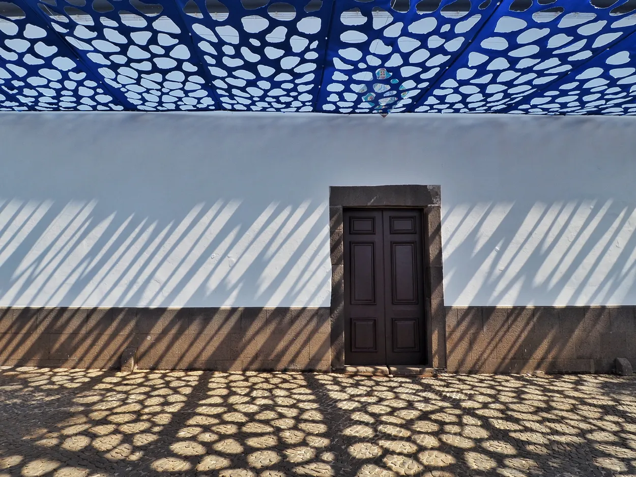 Entry 16084894