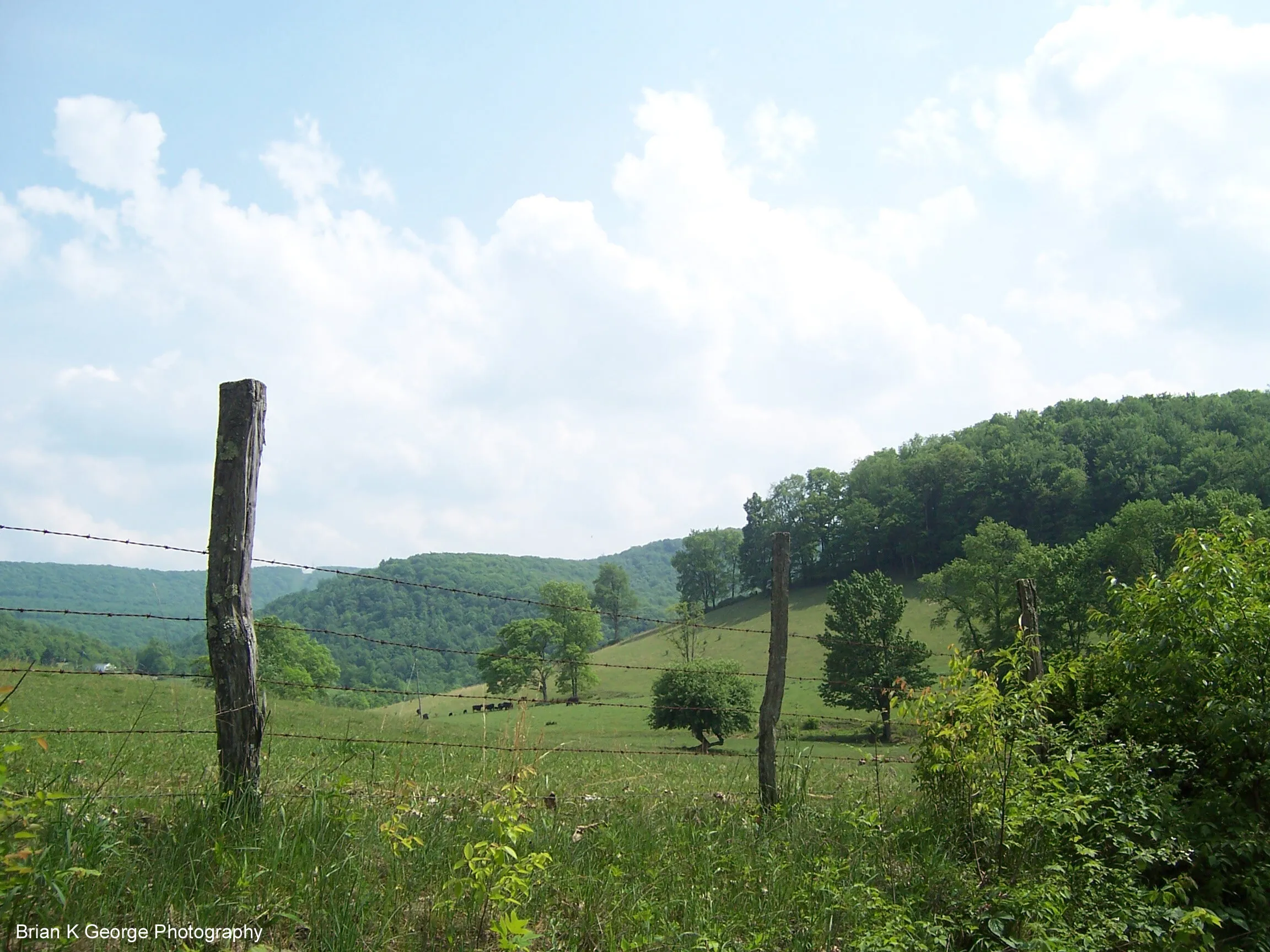 Rexroad Farm