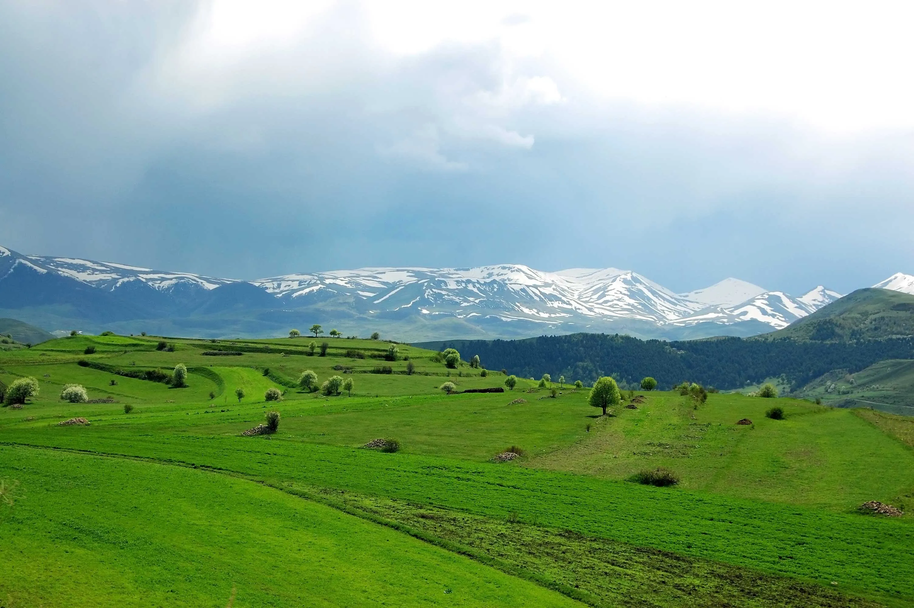 Green heaven