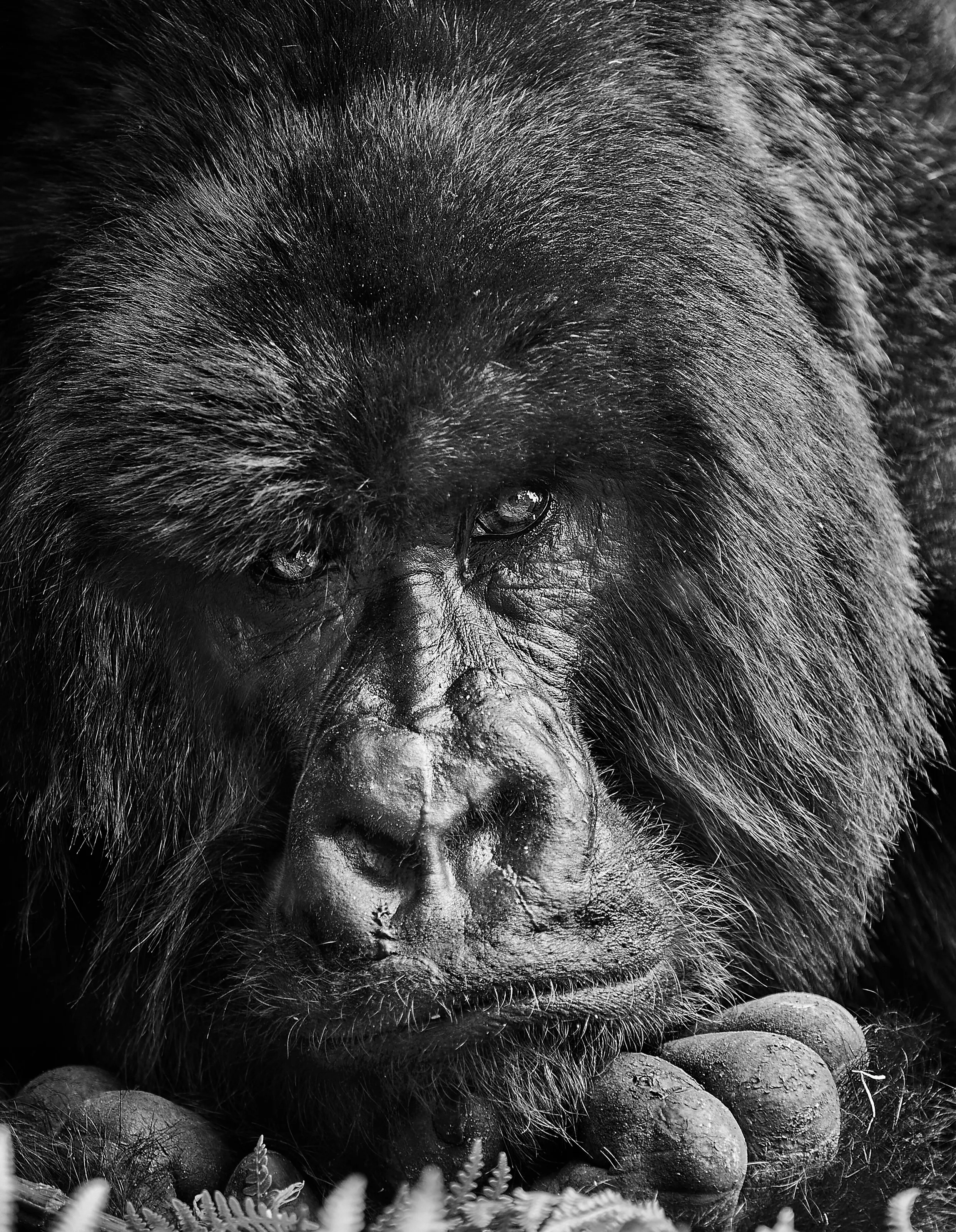 The Thinker