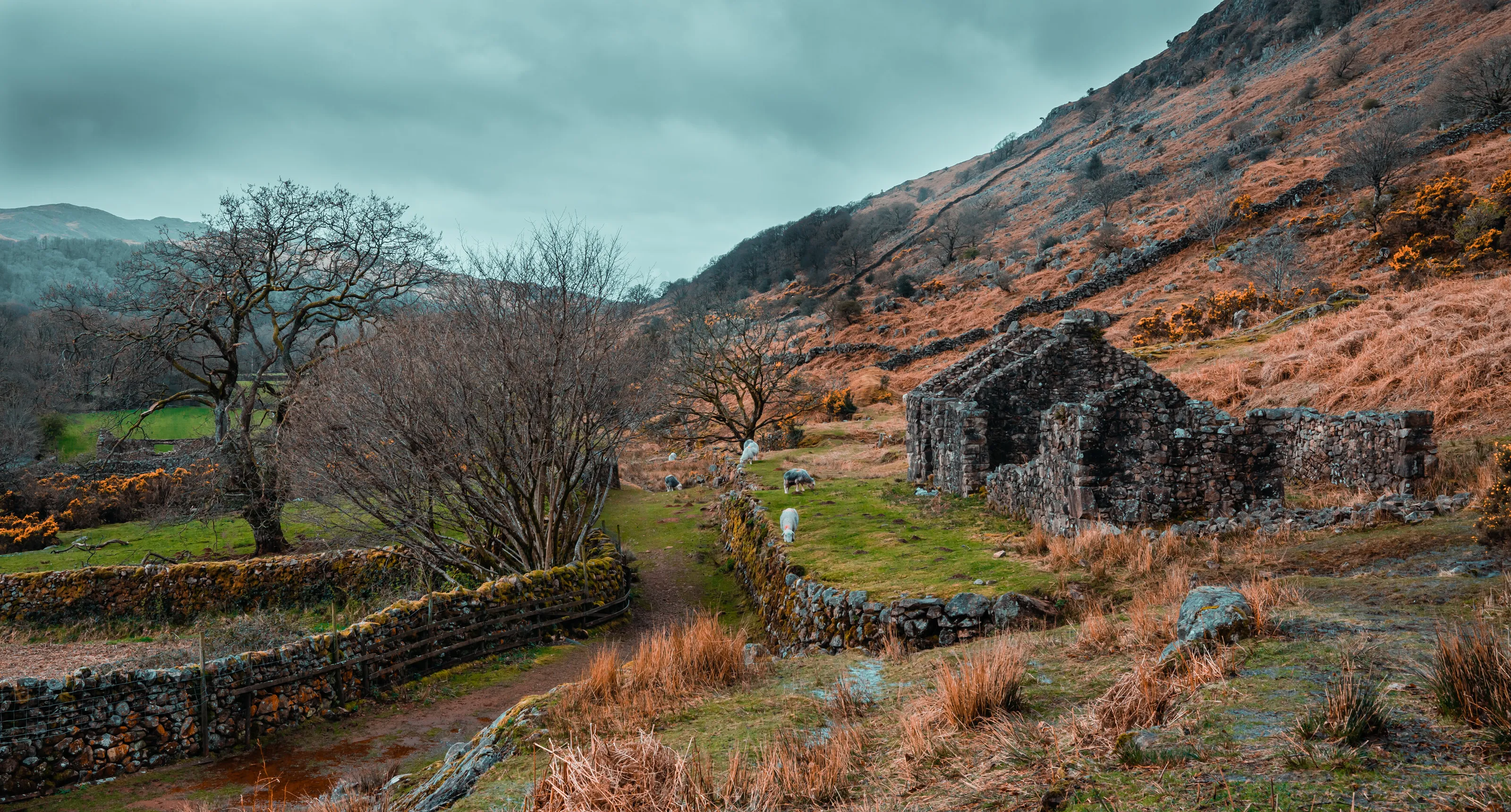 Abandoned house in the Lake District