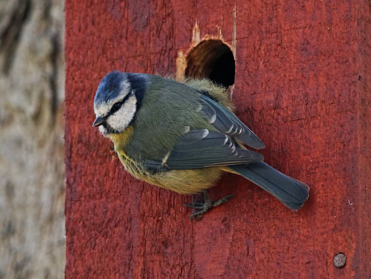 Entry 12542419