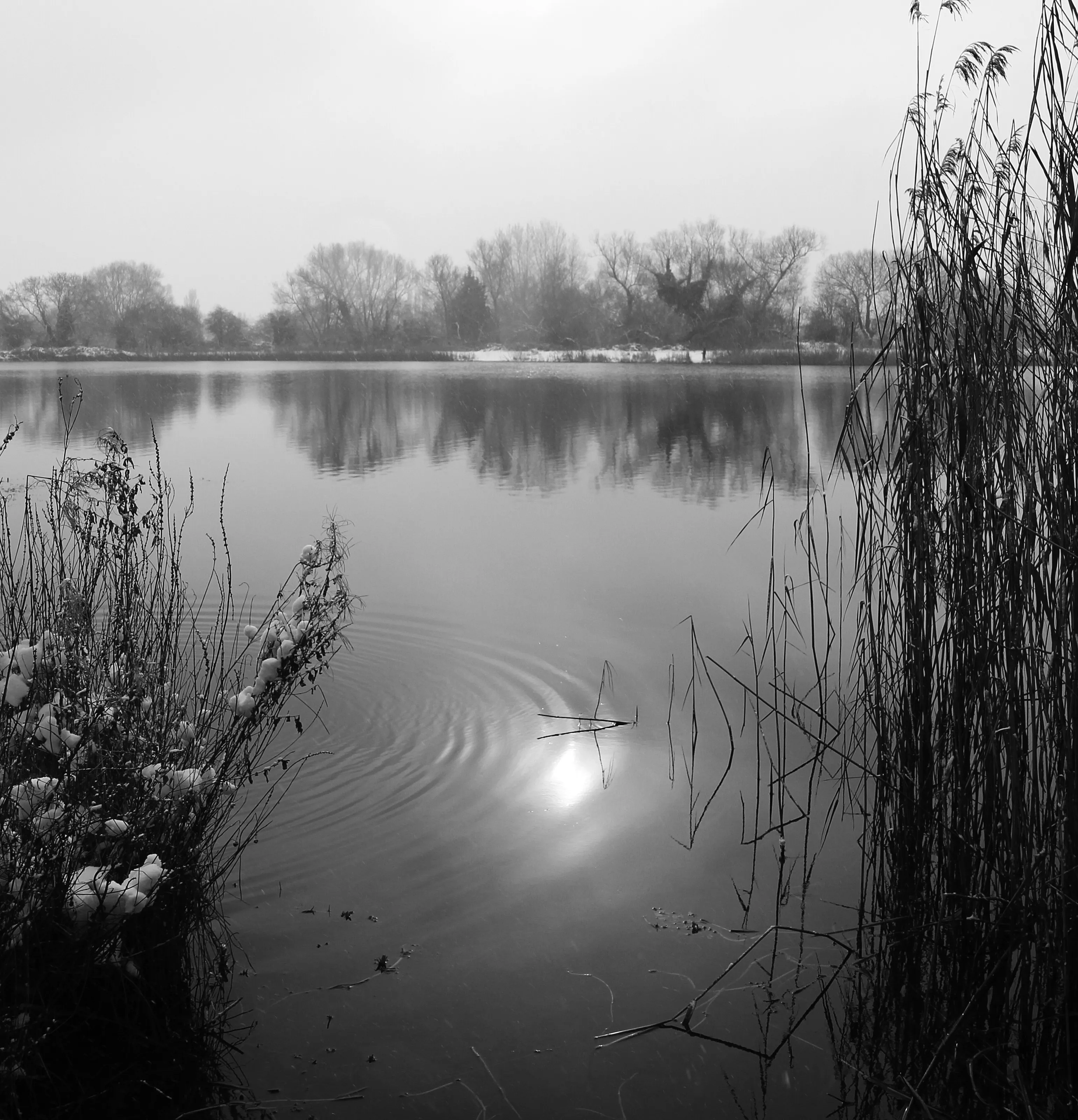Winter Reflection
