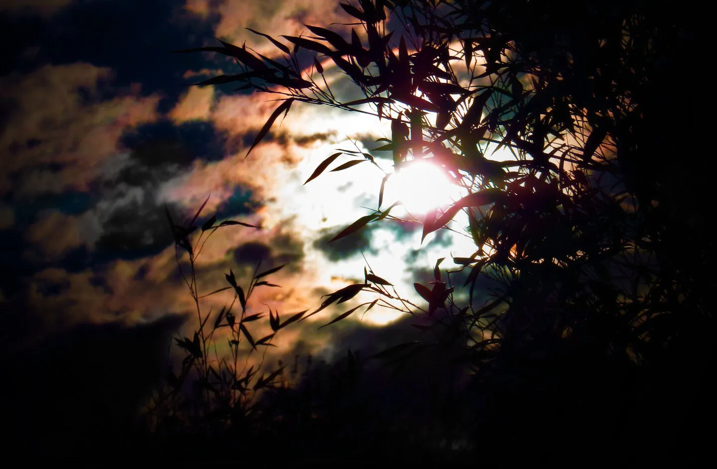 URBAN SUNSET